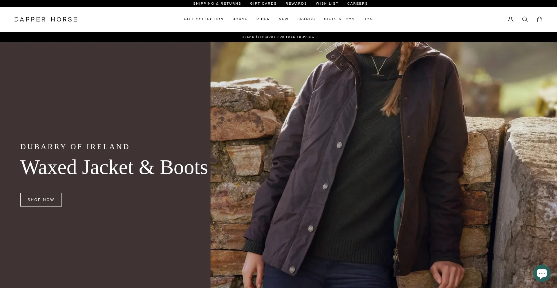 Dapperhorse.com Screenshot