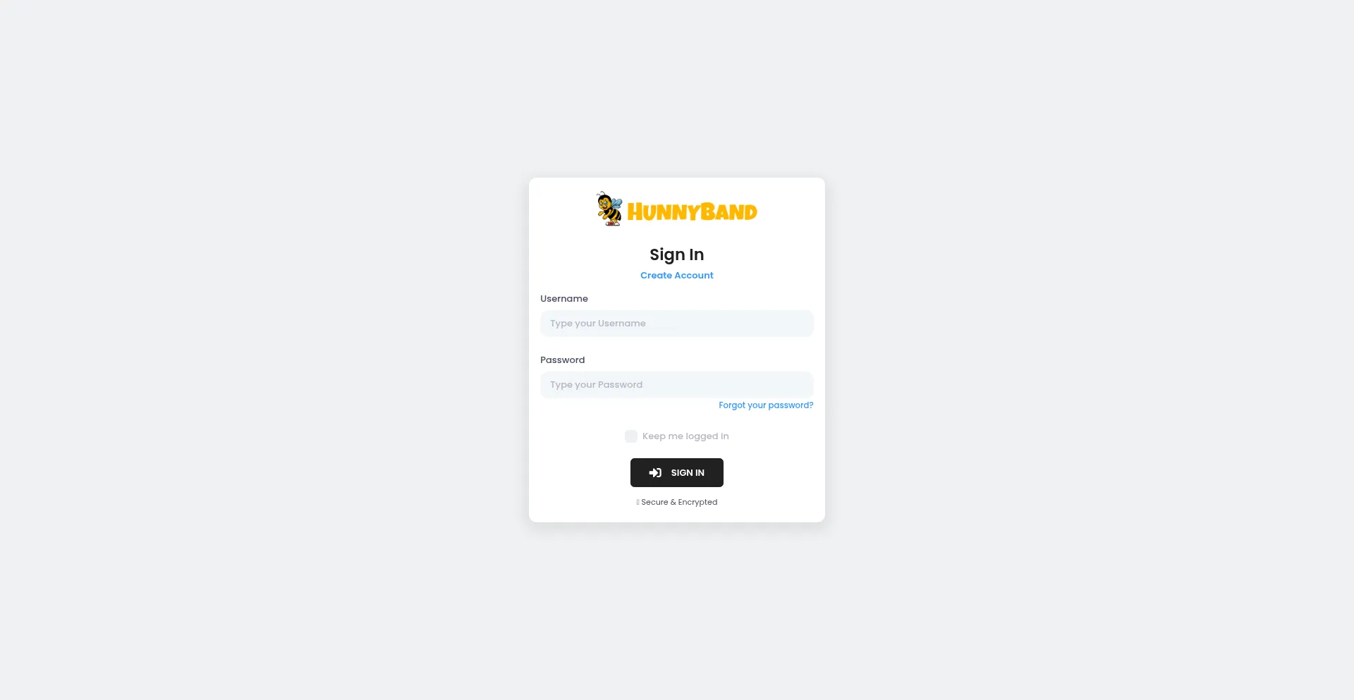 Website screenshot of Dash.hunnyband.com