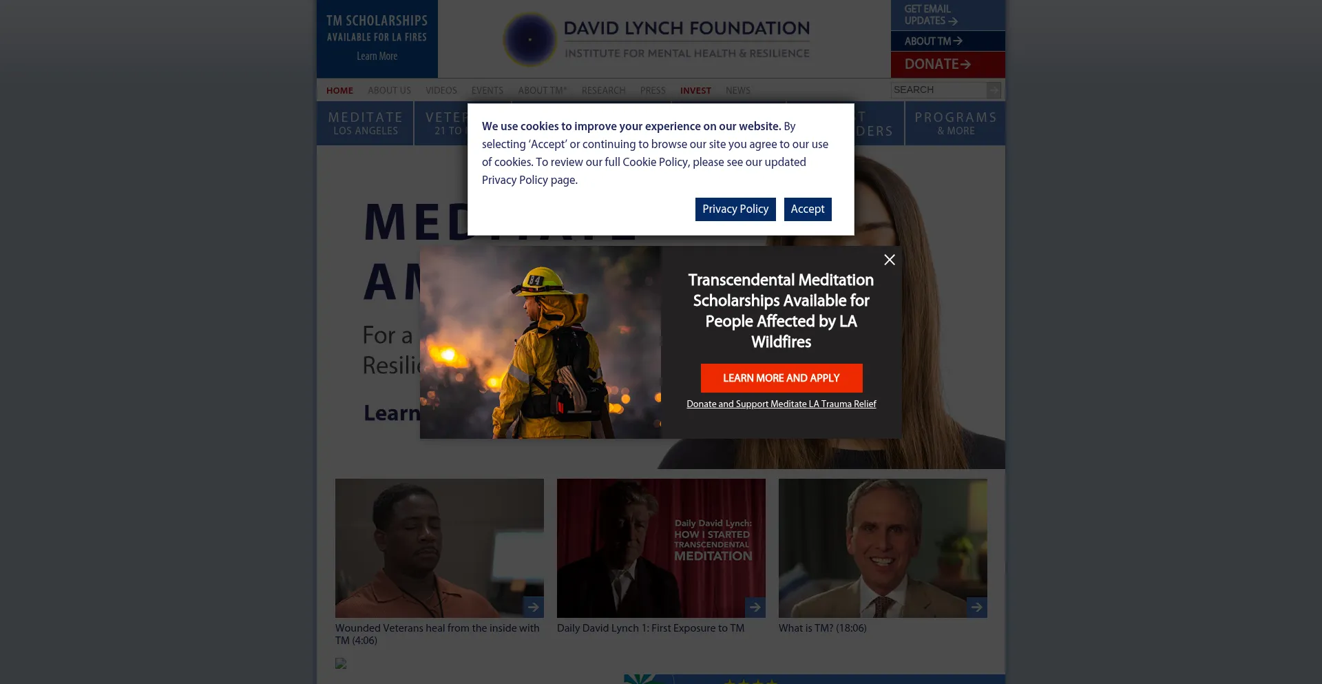 Davidlynchfoundation.org