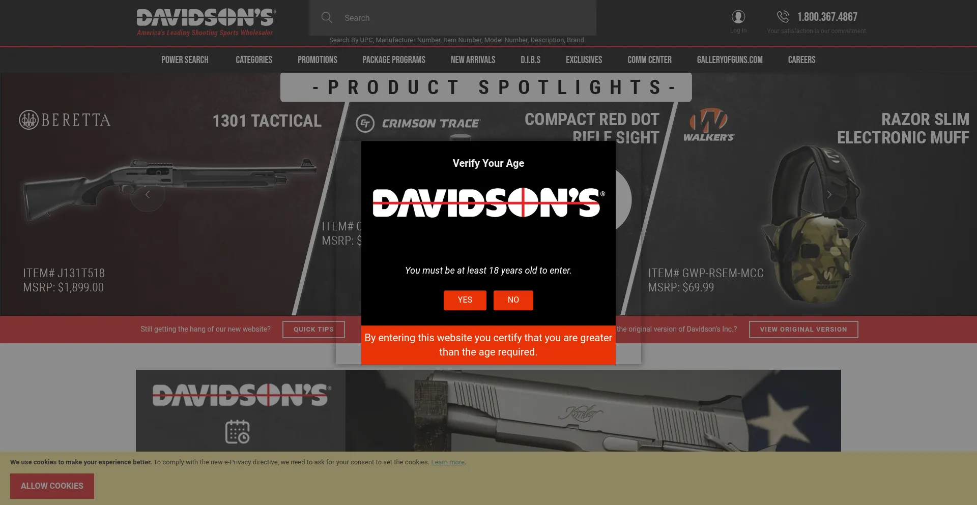 Website screenshot of Davidsonsinc.com