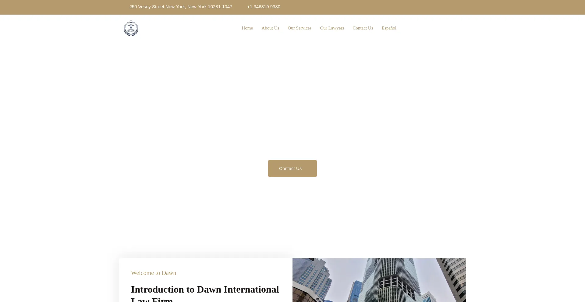 Website screenshot of Dawnlaw.org