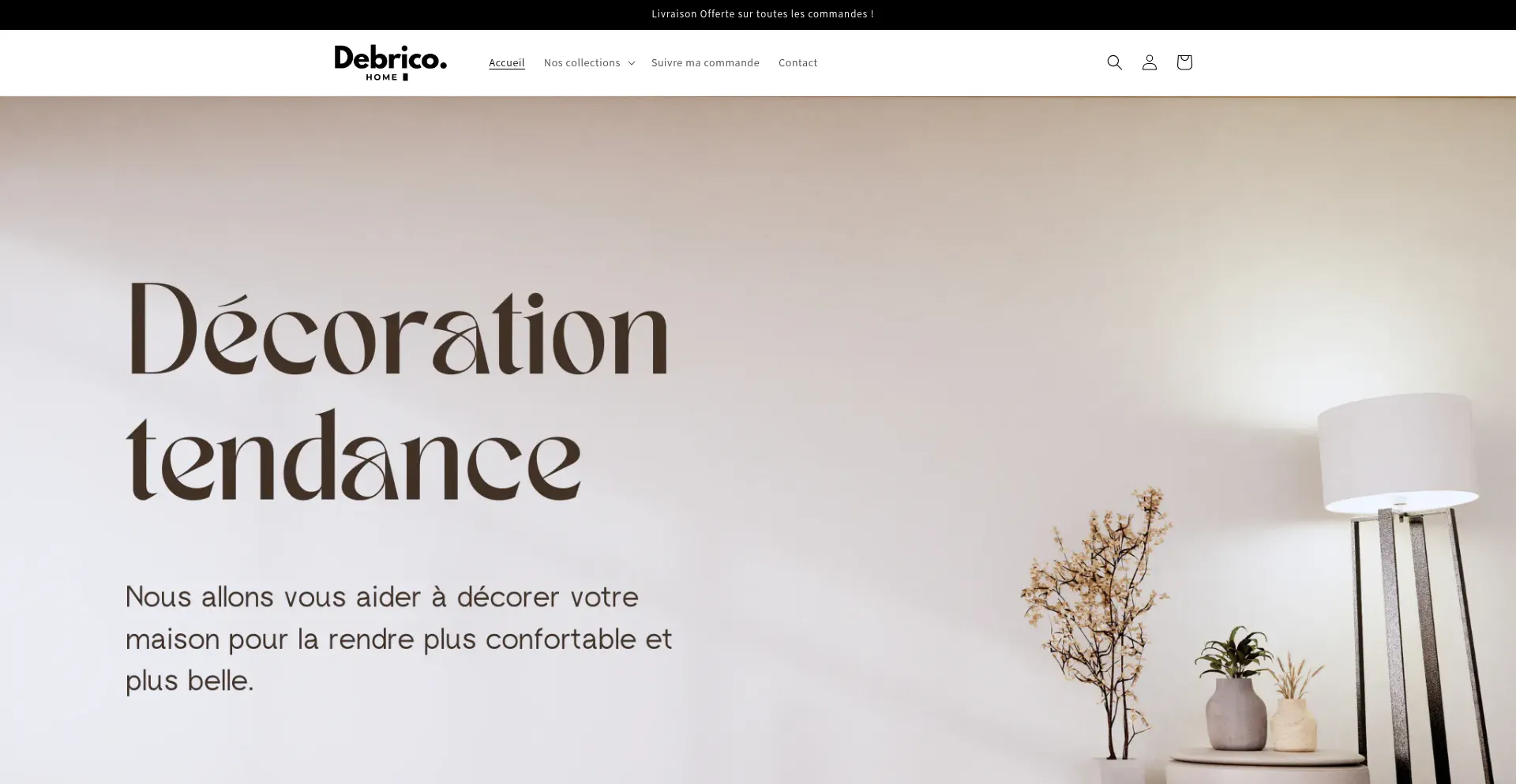 Website screenshot of Debrico.fr