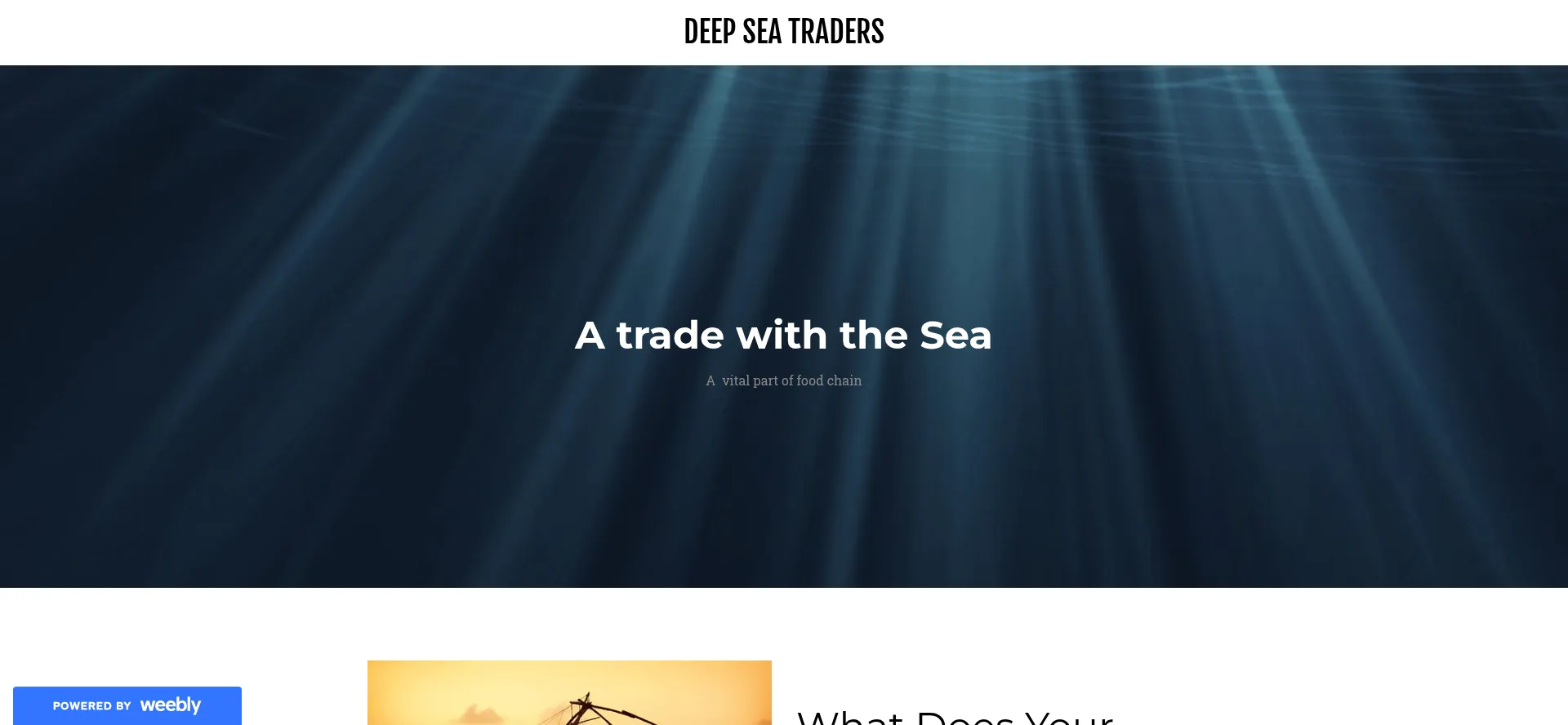 Deepseatraders.weebly.com