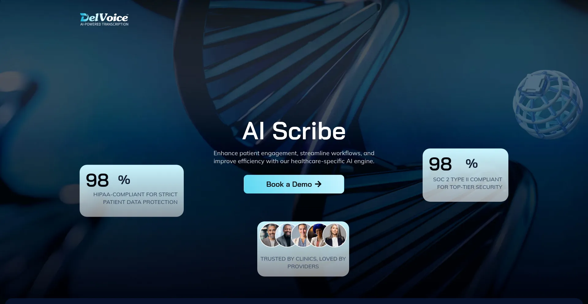 Website screenshot of Delvoice.com
