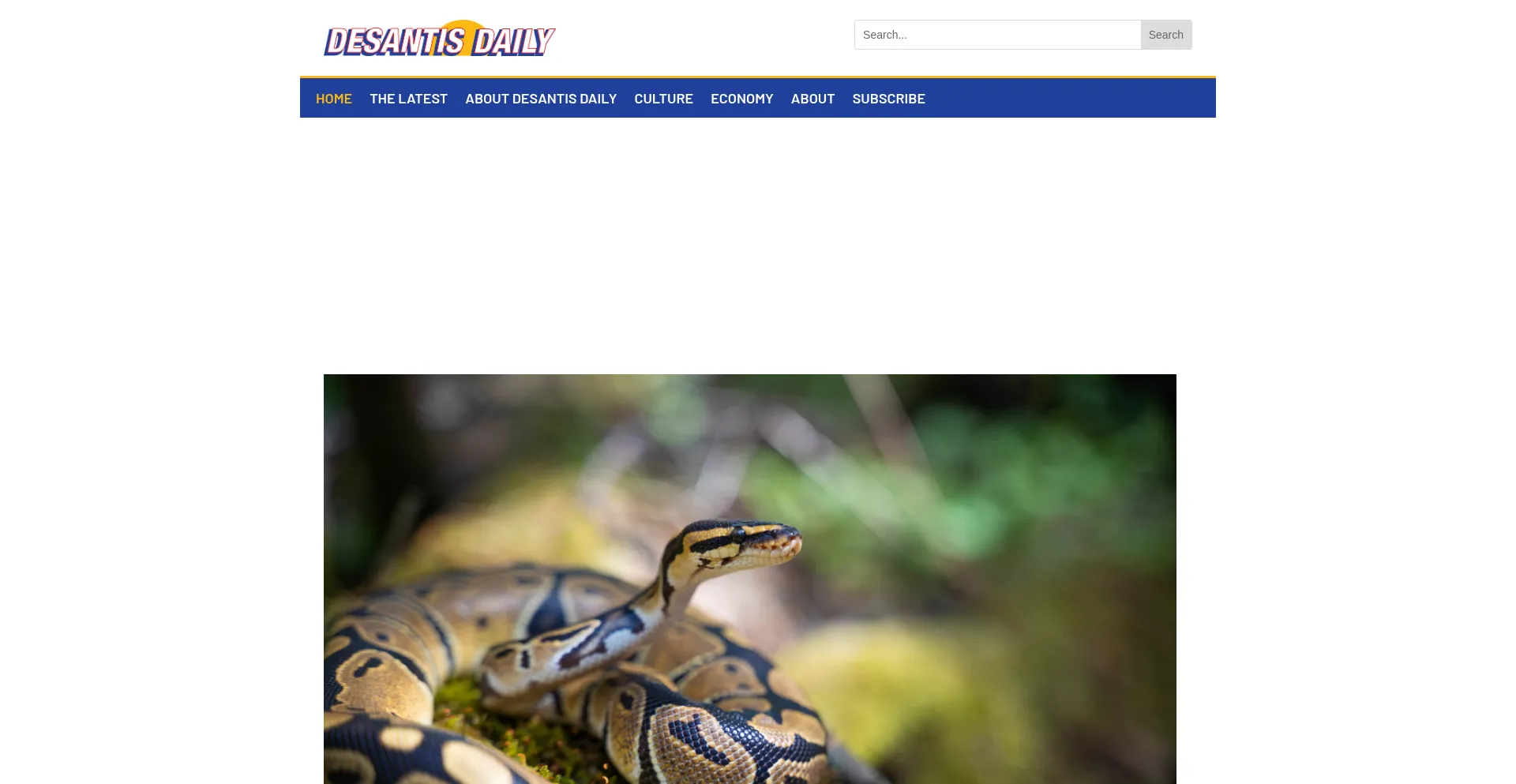 Website screenshot of Desantisdaily.com