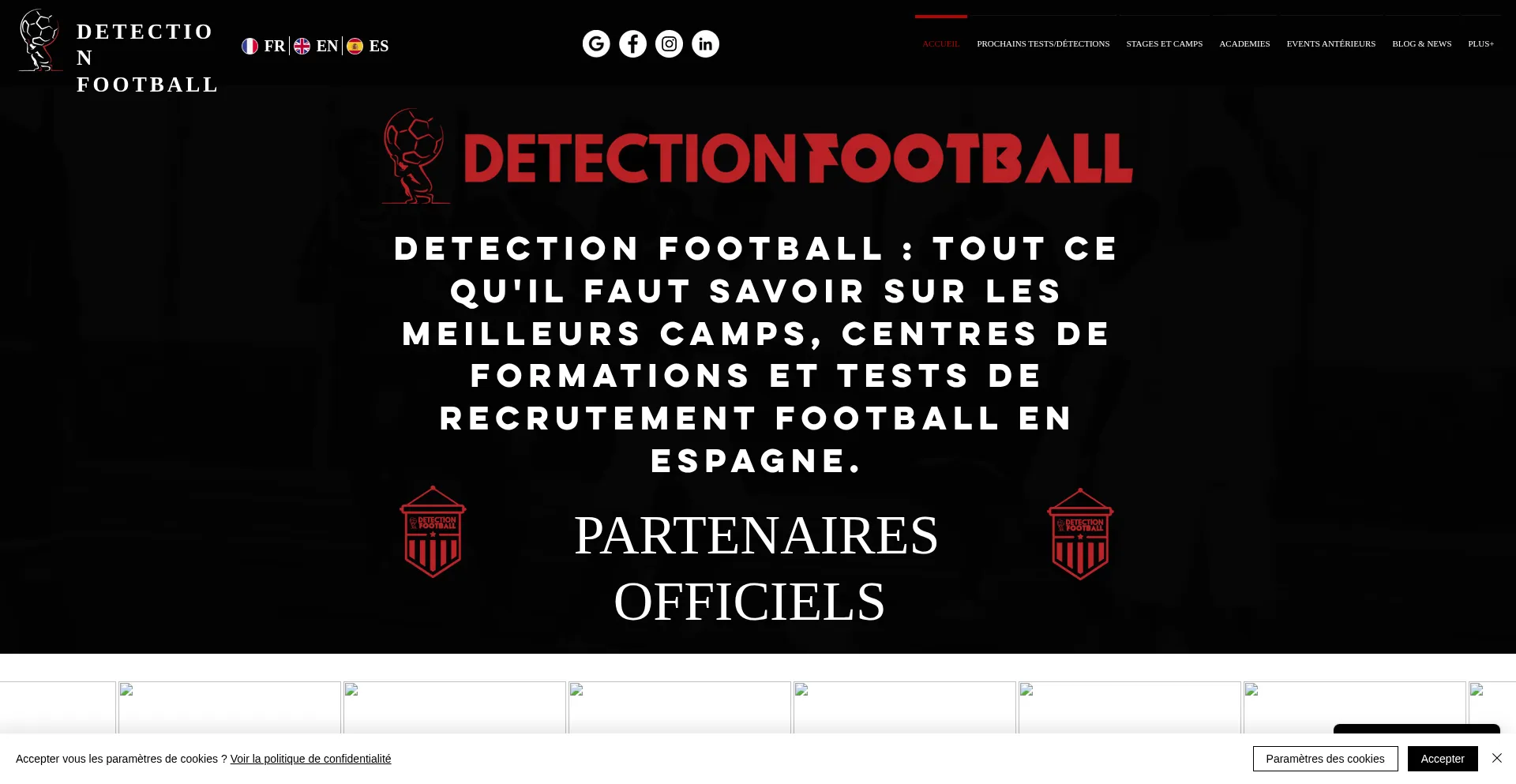 Website screenshot of Detectionfootball.com