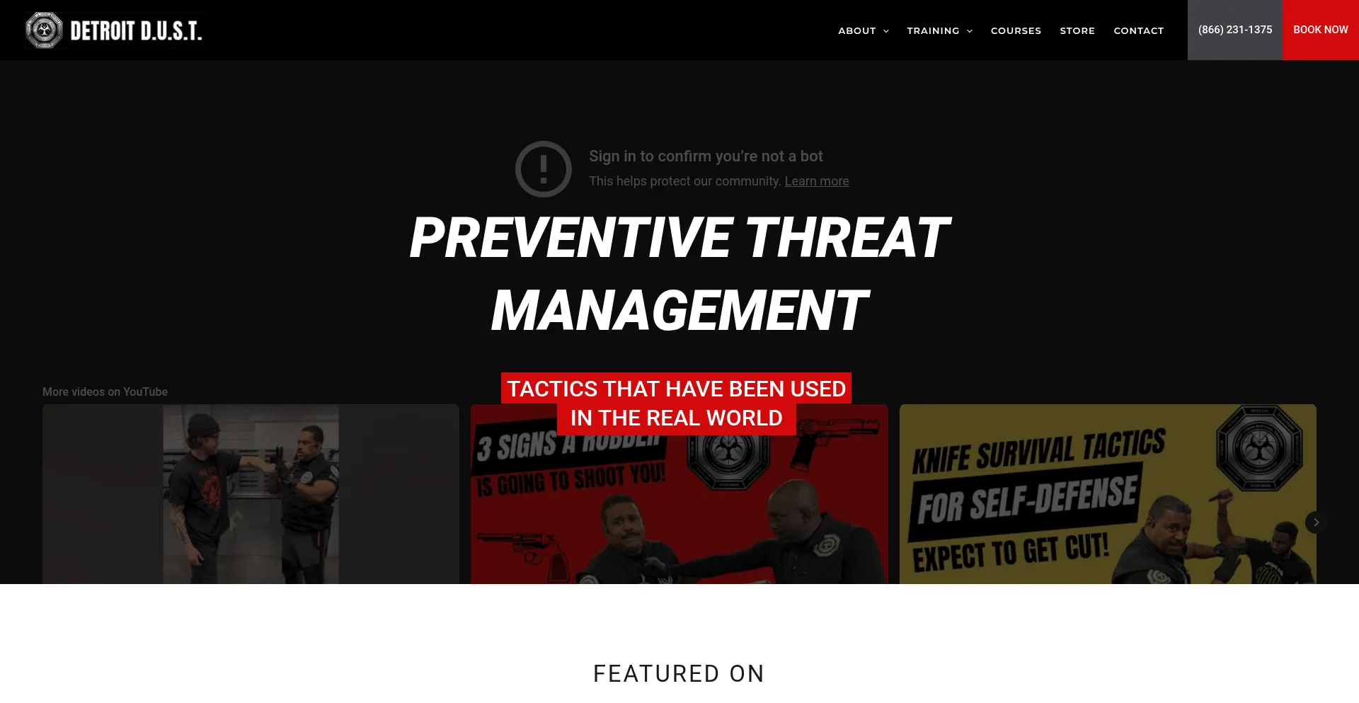 Website screenshot of Detroit-dust.com