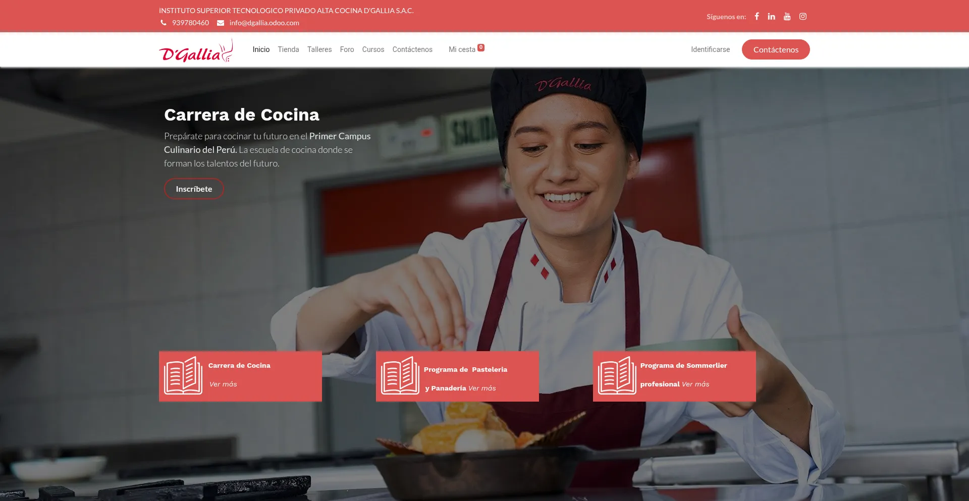 Website screenshot of Dgallia.odoo.com