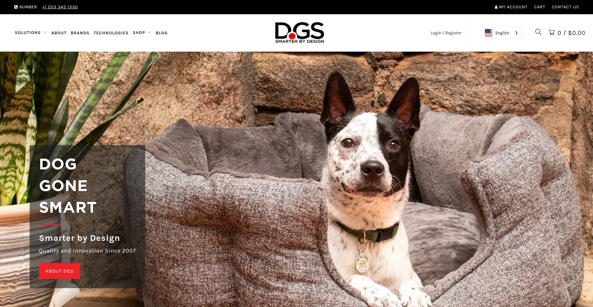 Dgspetproducts.com