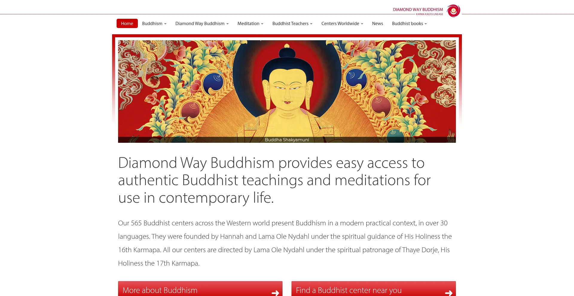 Diamondway-buddhism.org