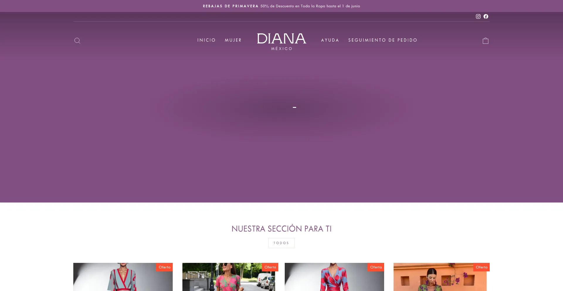 Website screenshot of Dianamexico.com