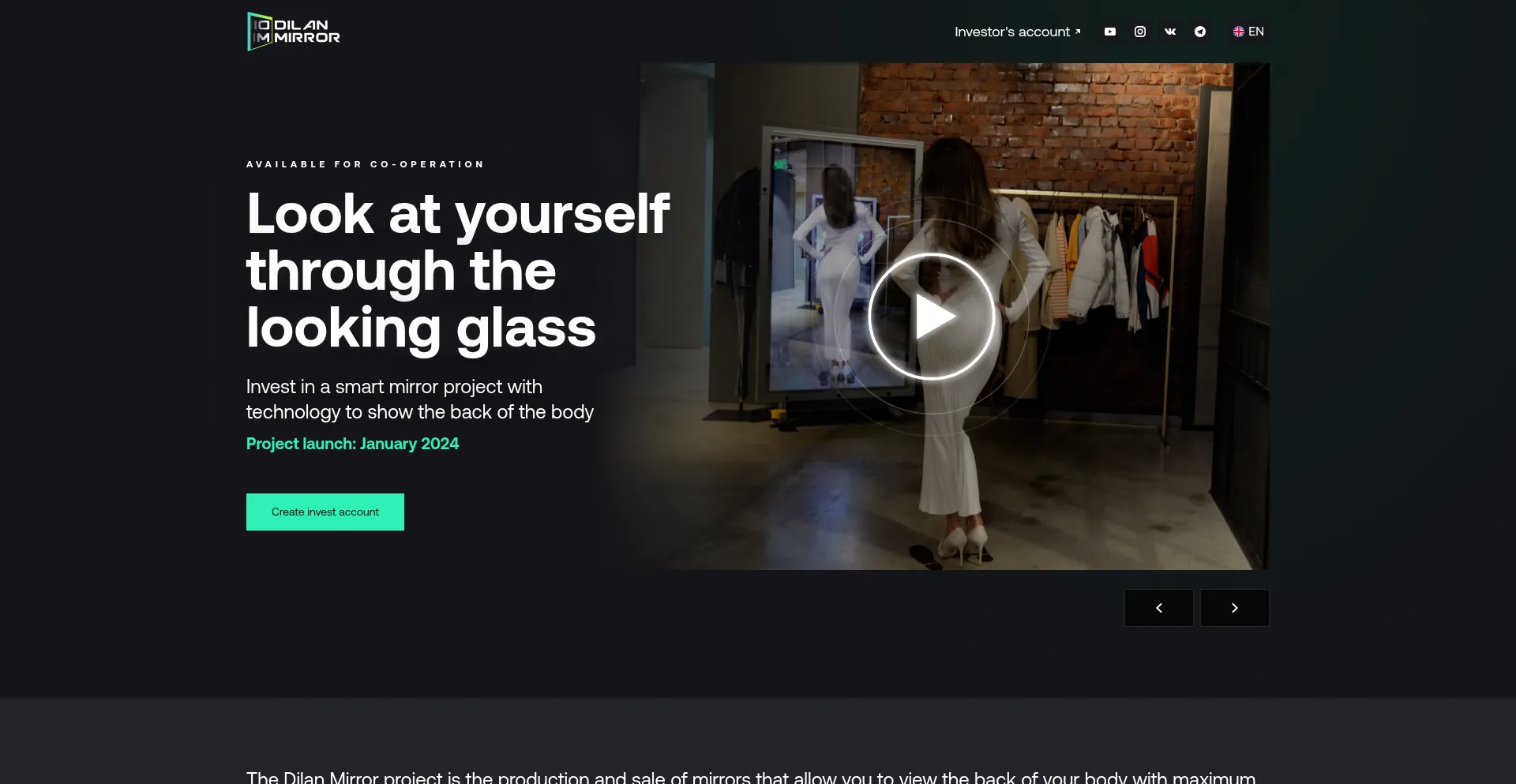 Website screenshot of Dilan-mirror.com