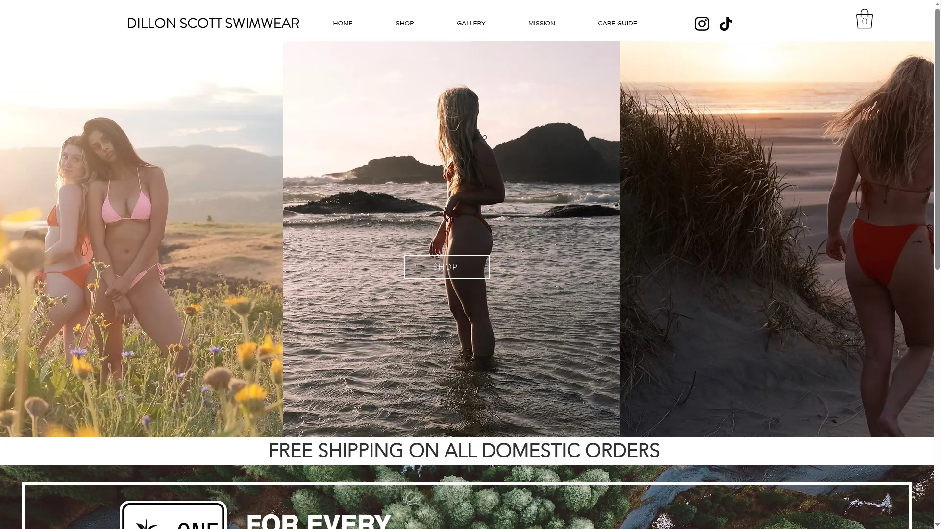 Dillonscottswimwear.com
