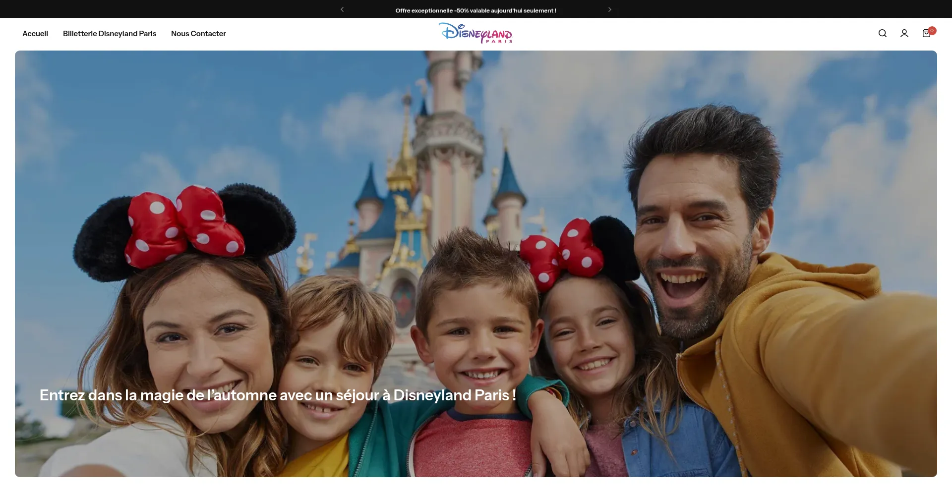 Website screenshot of Disneyparis-tickets.com