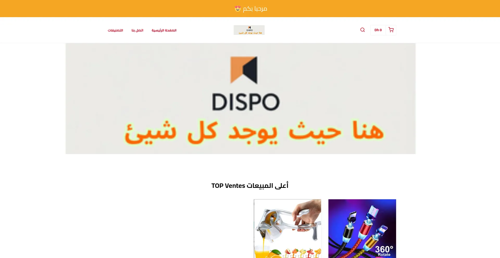 Website screenshot of Dispo.store