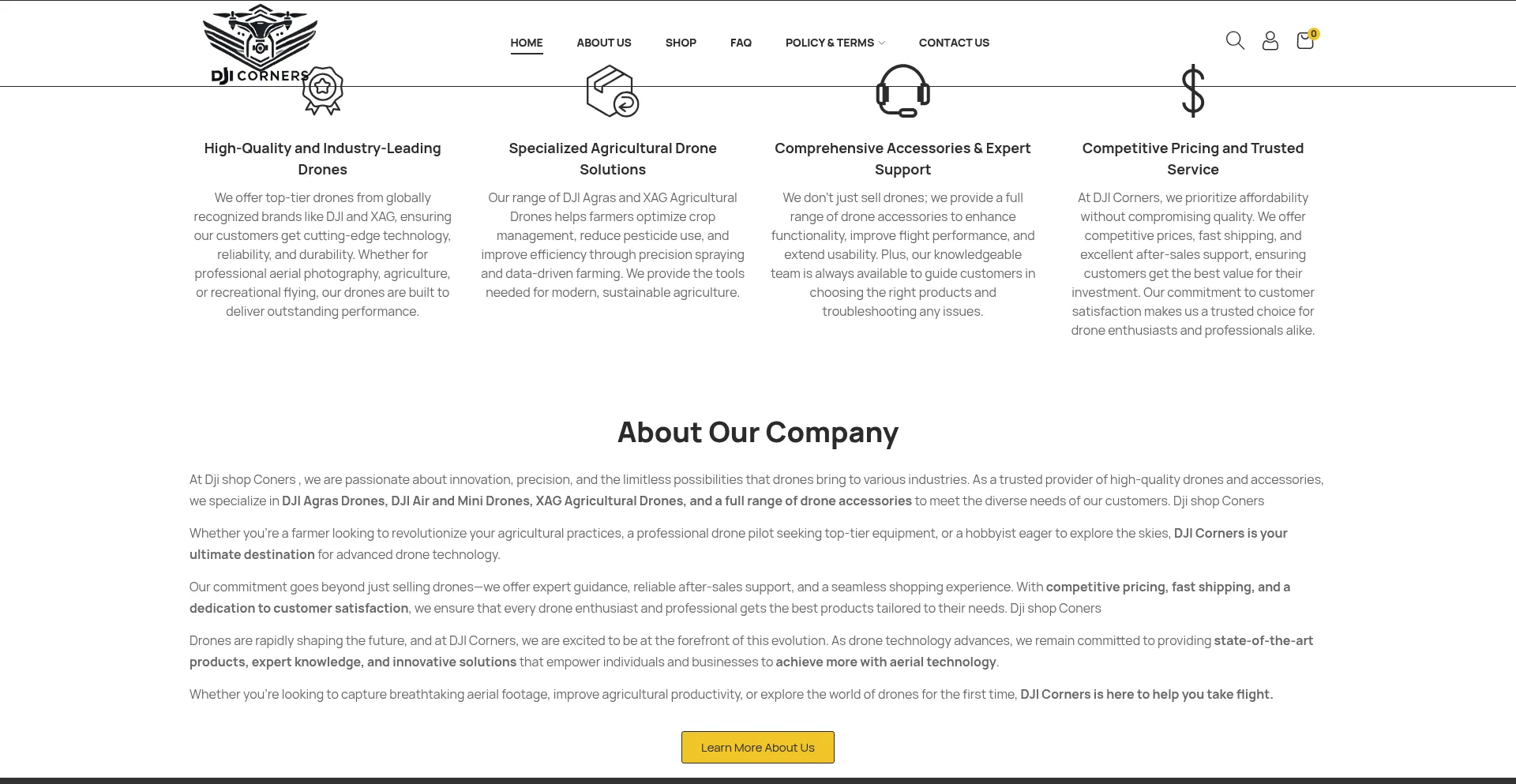 Website screenshot of Djiconers.com