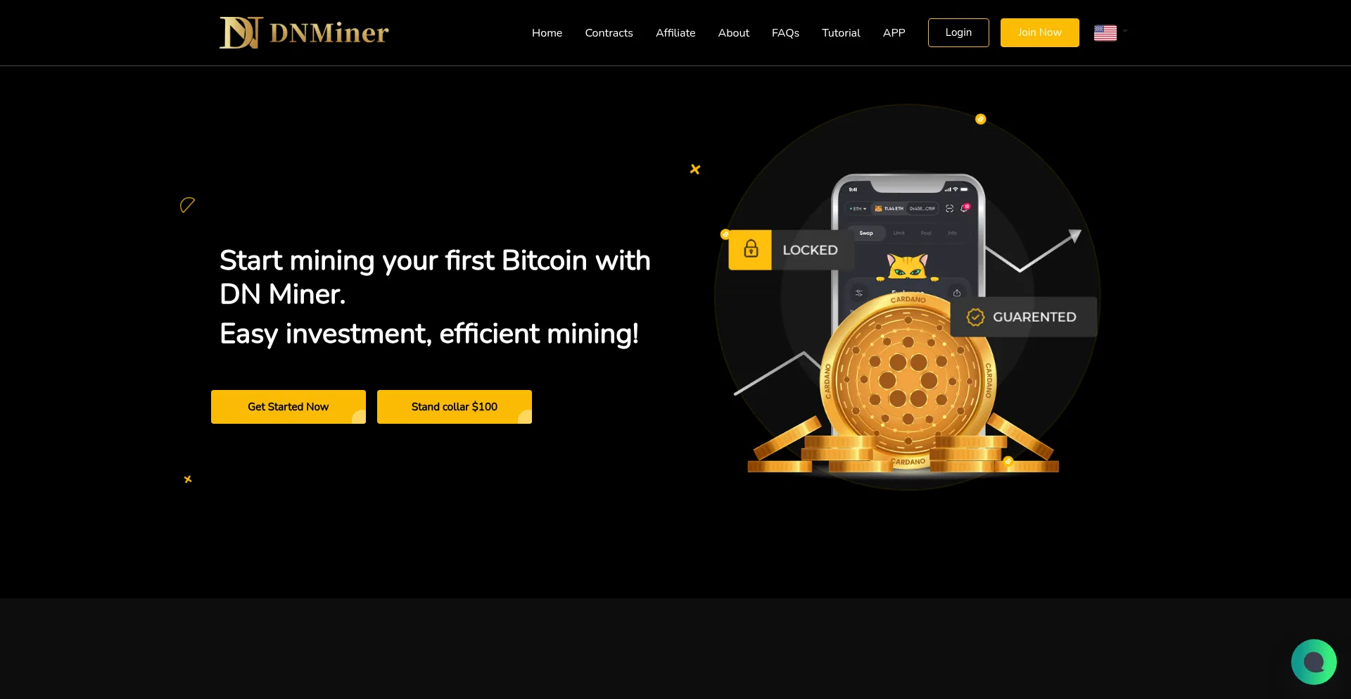 Website screenshot of Dnminer.io