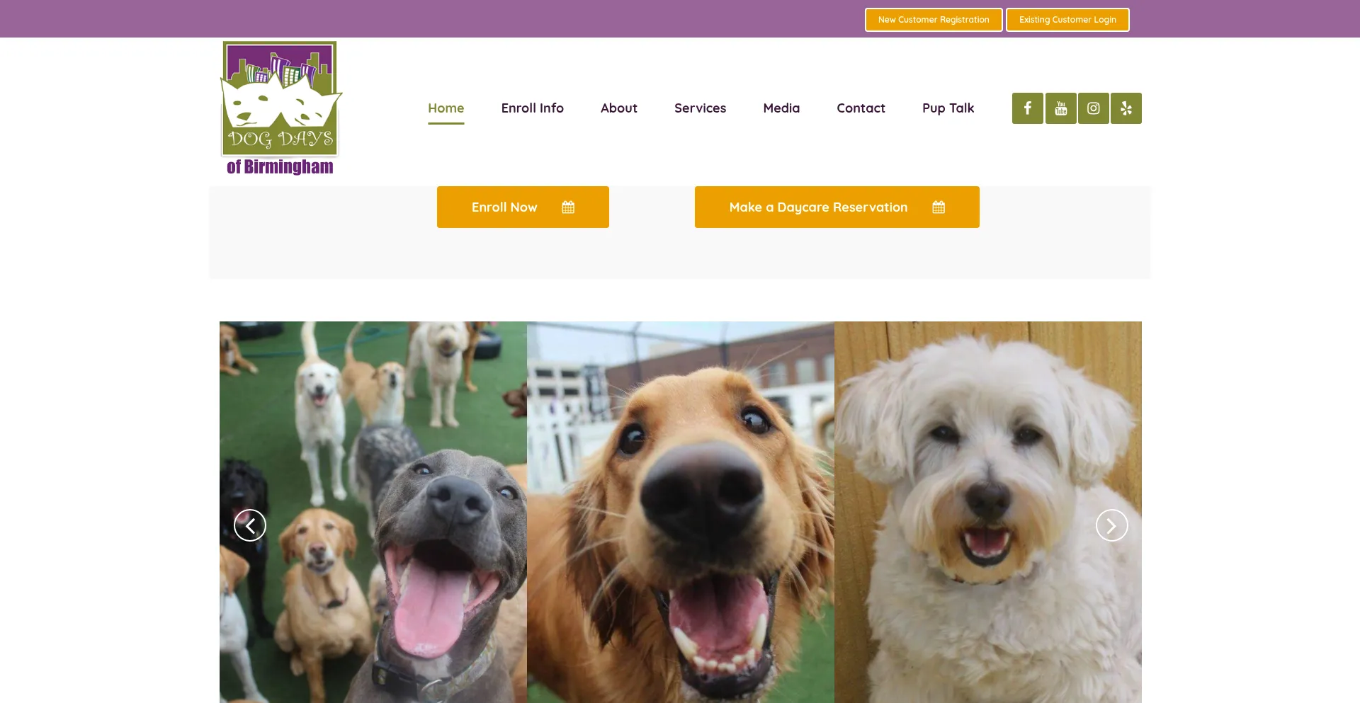 ¿És Seguro y Confiable Dogdaysofbirmingham.com?