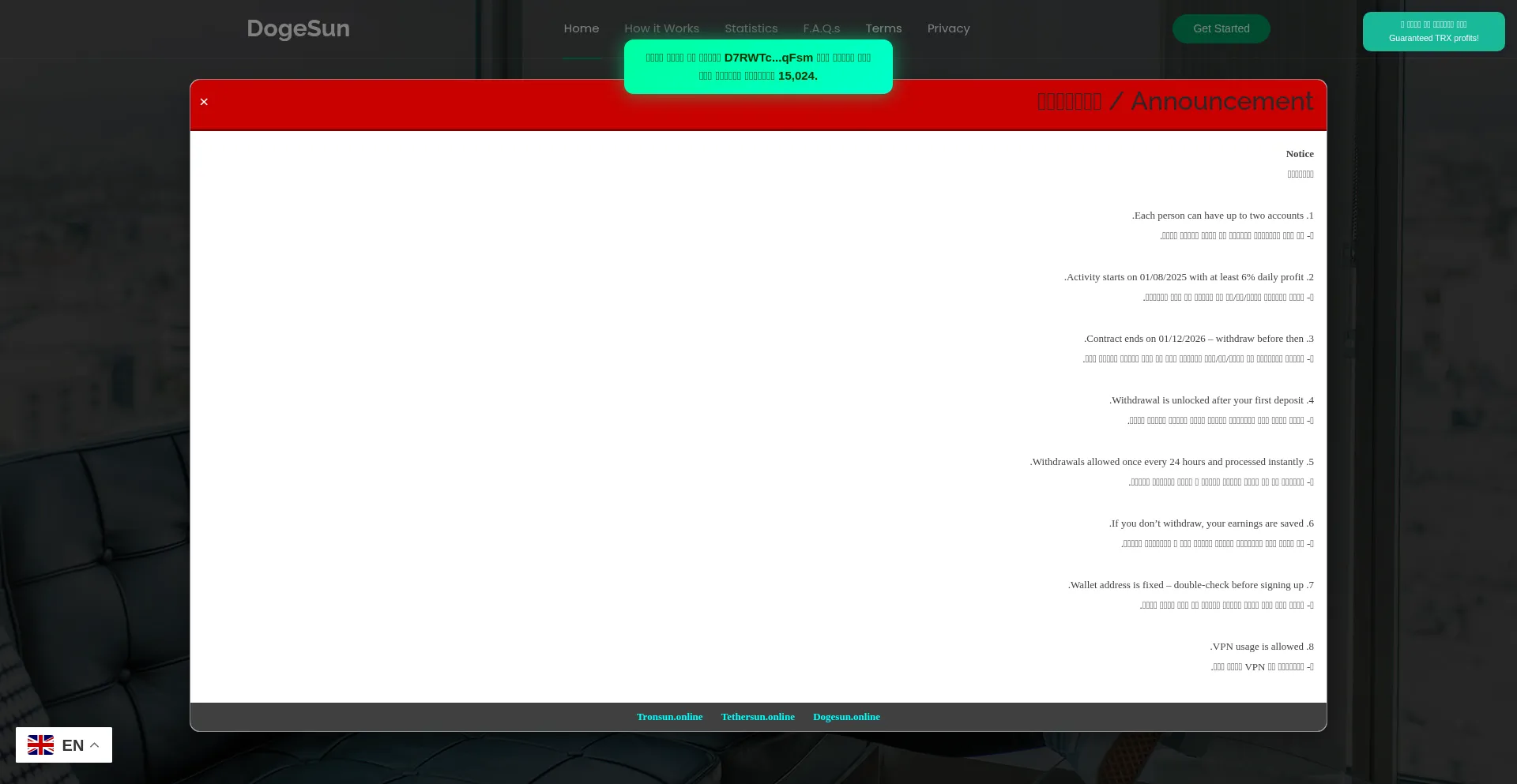 Website screenshot of Dogesun.online