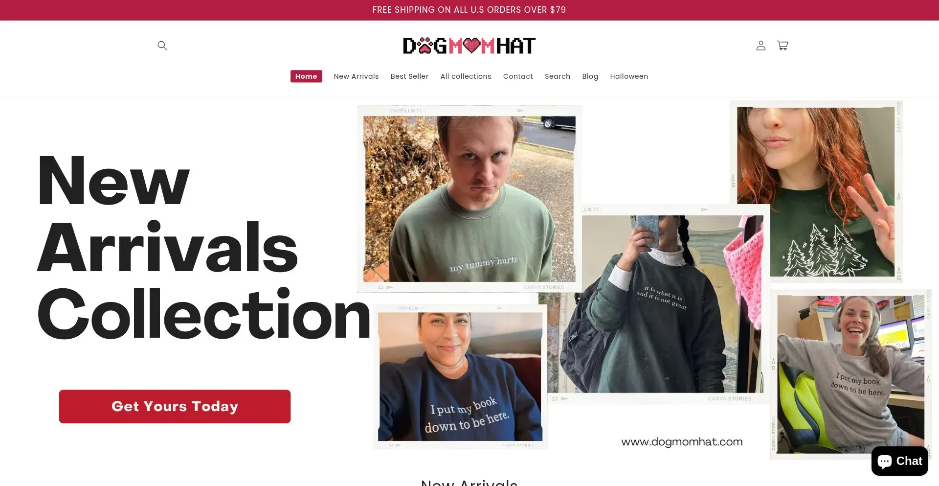 ¿És Seguro y Confiable Dogmomhat.com?
