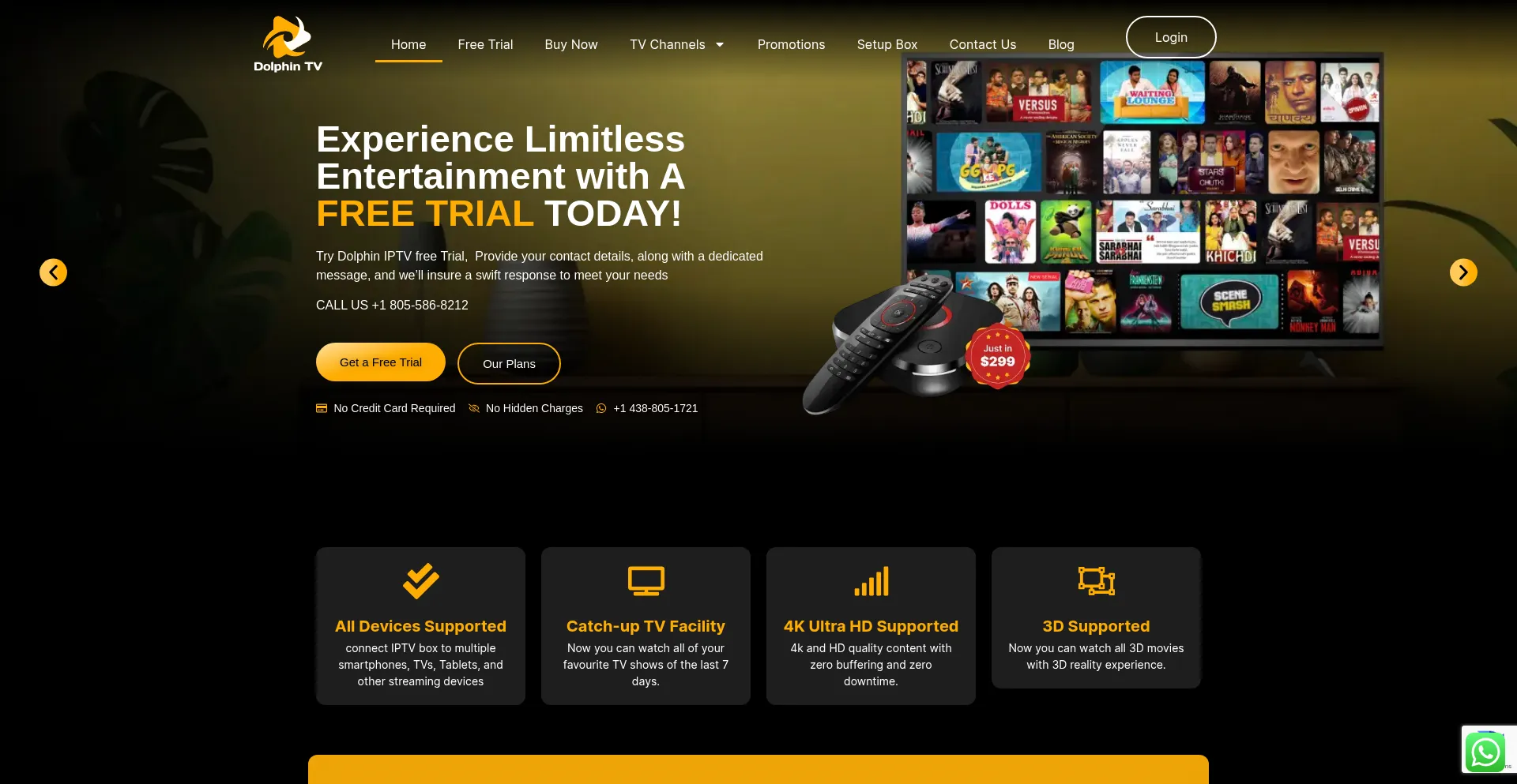 Website screenshot of Dolphiniptv.com