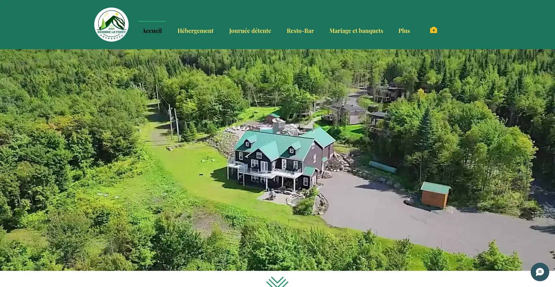 Website screenshot of Domainelaforetenchantee.com