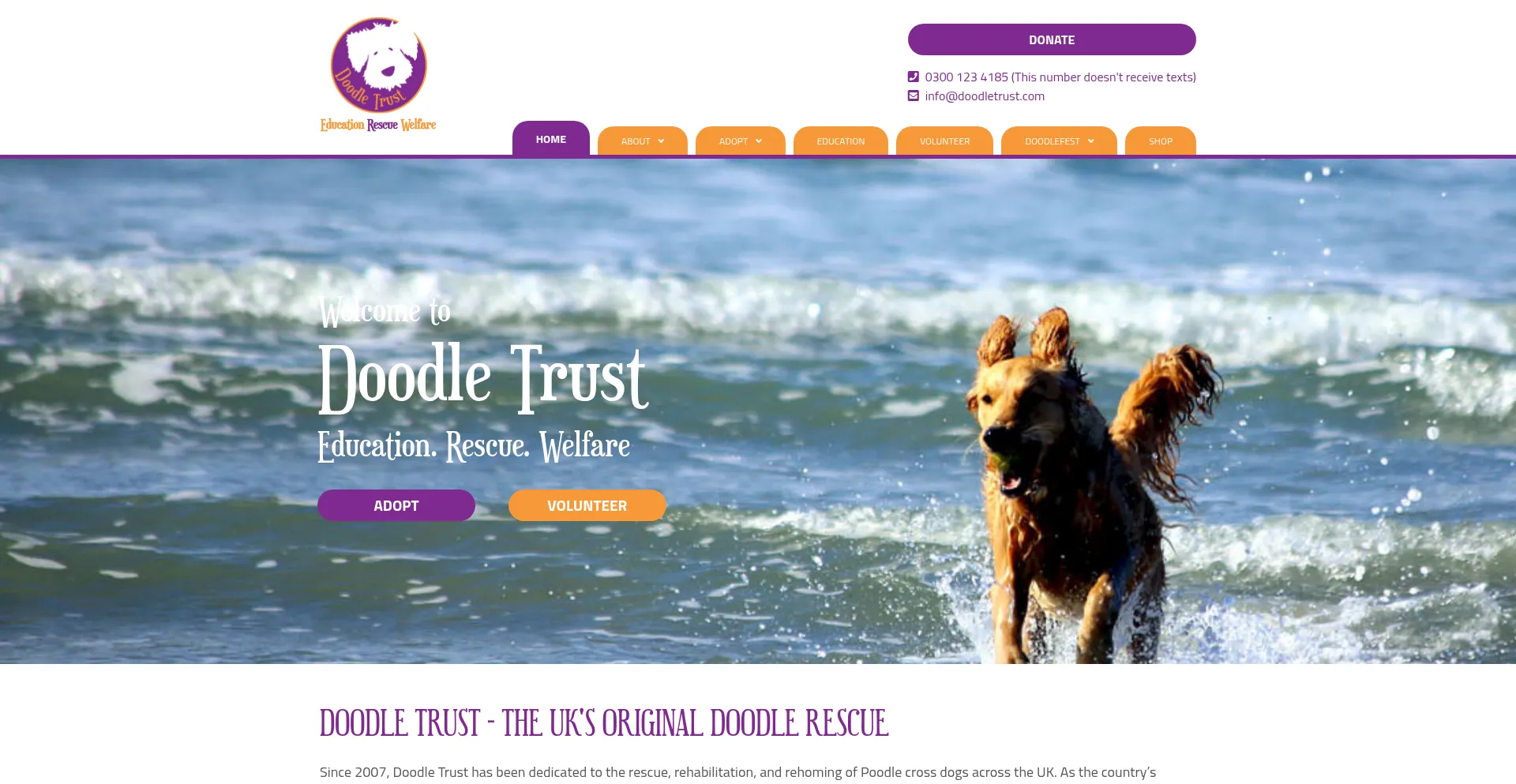Doodletrust.com