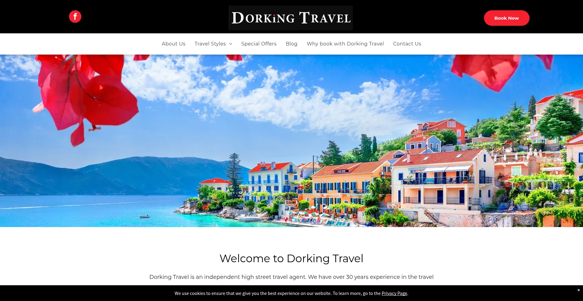 Dorkingtravel.co.uk Screenshot
