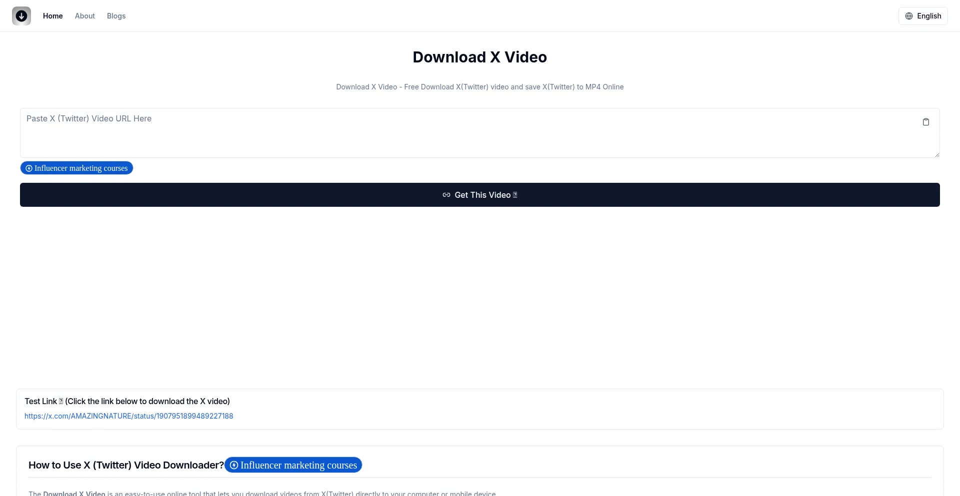 Website screenshot of Download-x-video.com