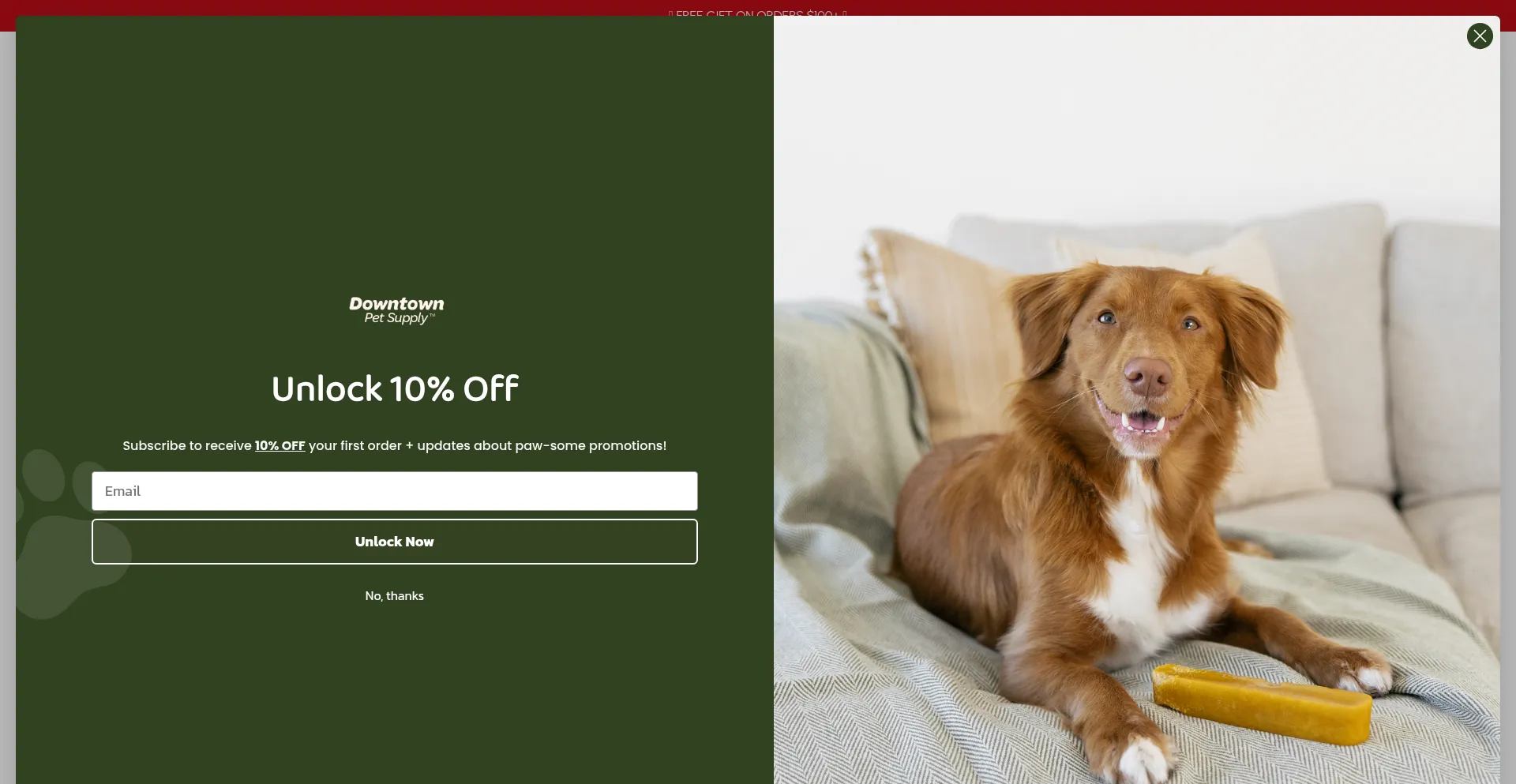 Website screenshot of Downtownpetsupply.com