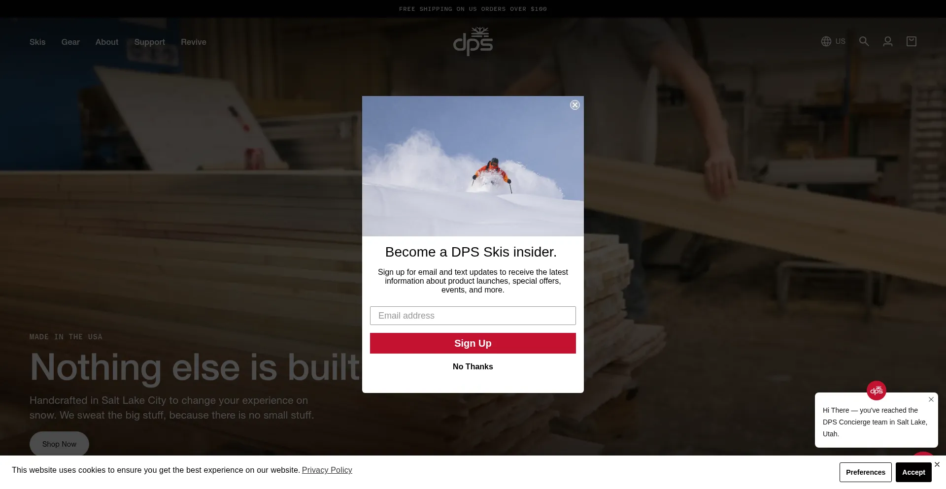 Dpsskis.com