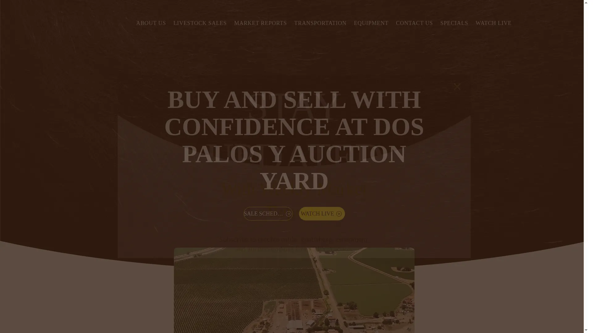 Dpyauction.com