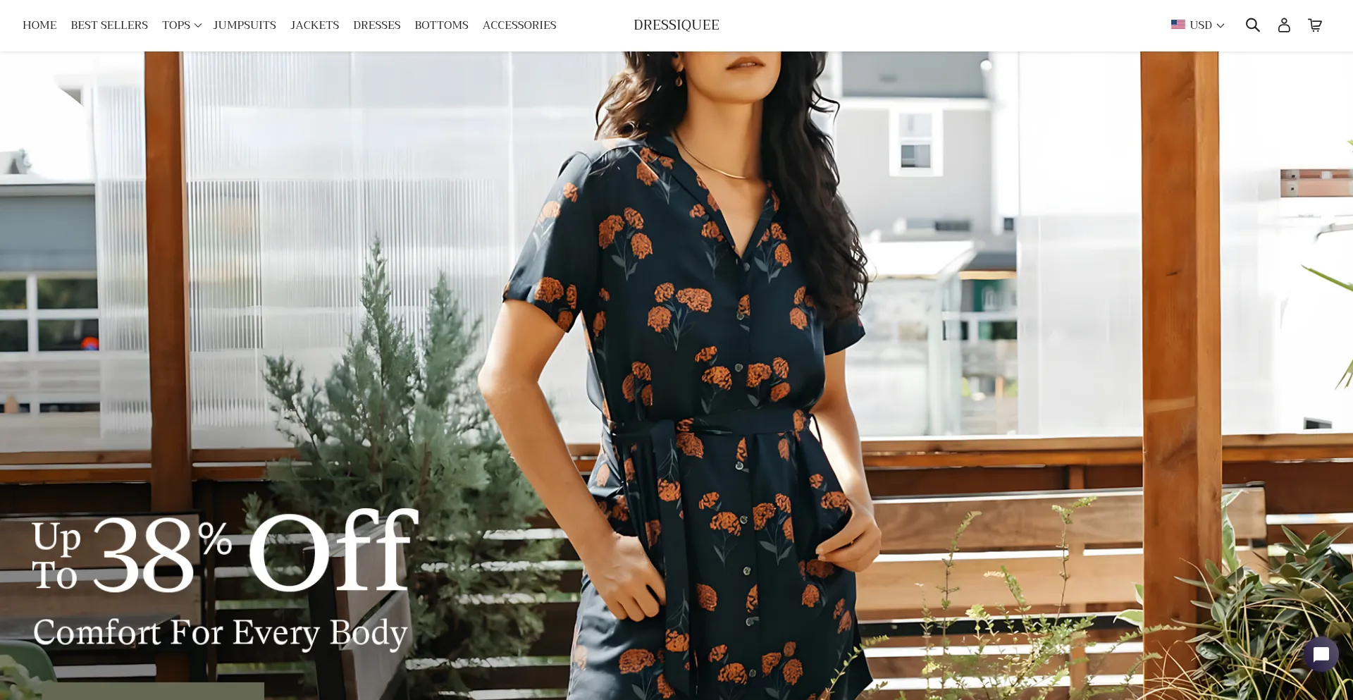 Website screenshot of Dressiquee.com