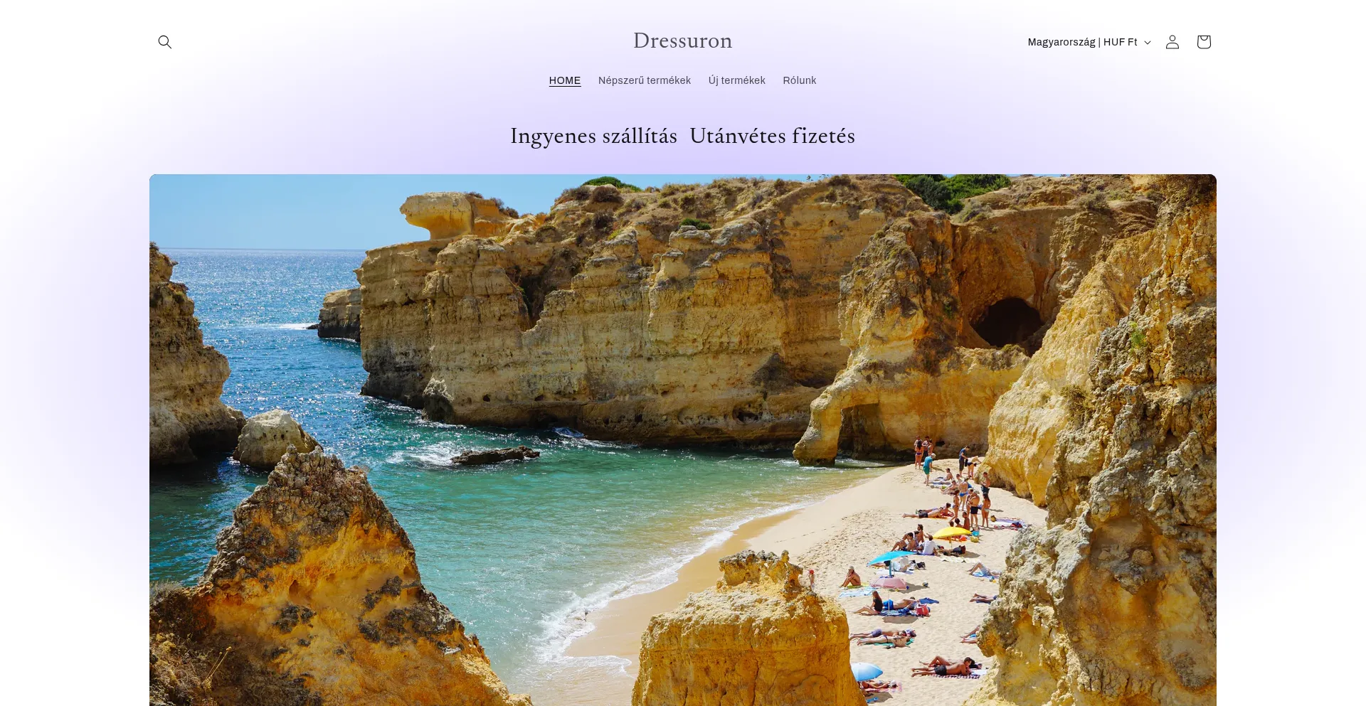 Website screenshot of Dressuron.com