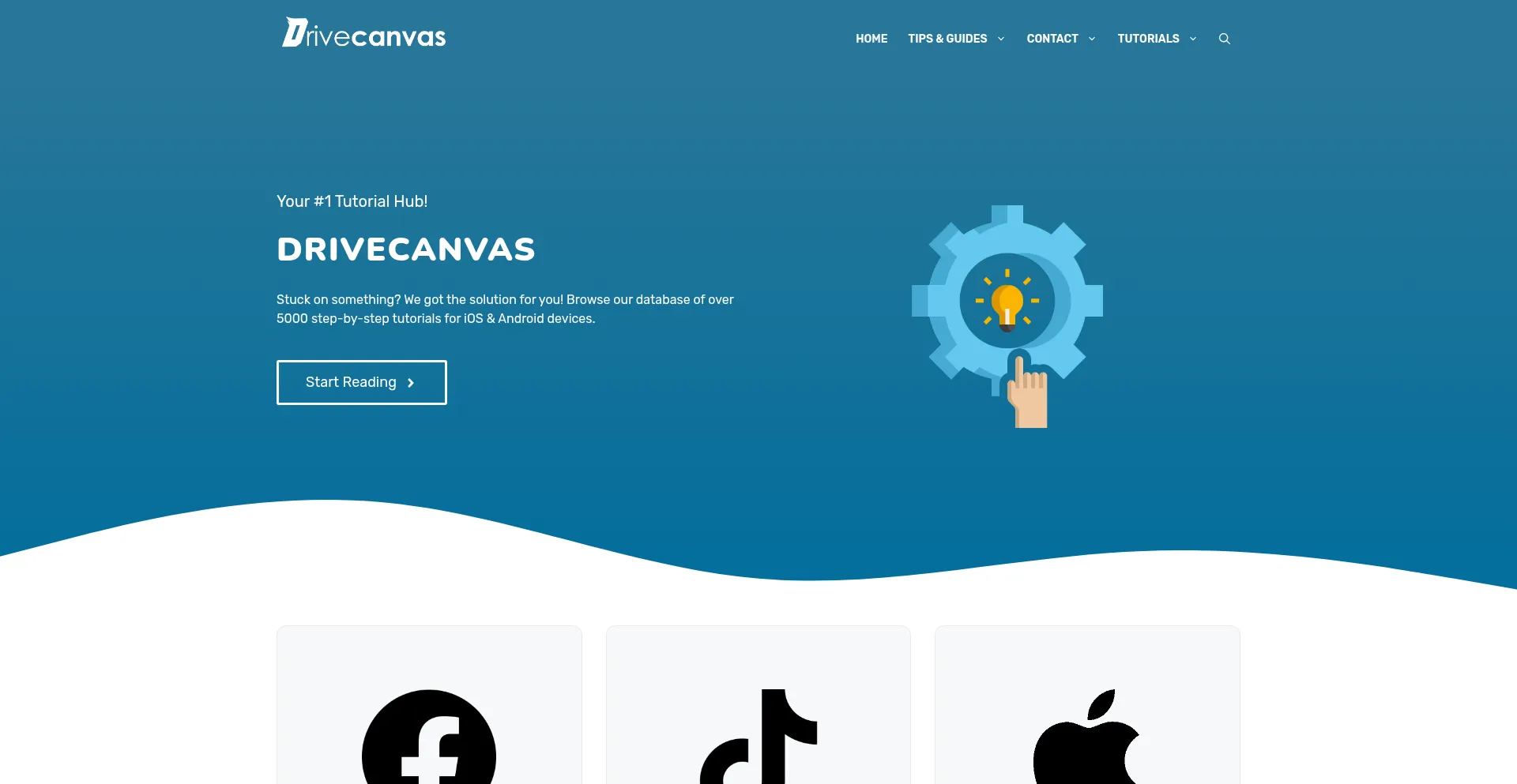 Drivecanvas.com