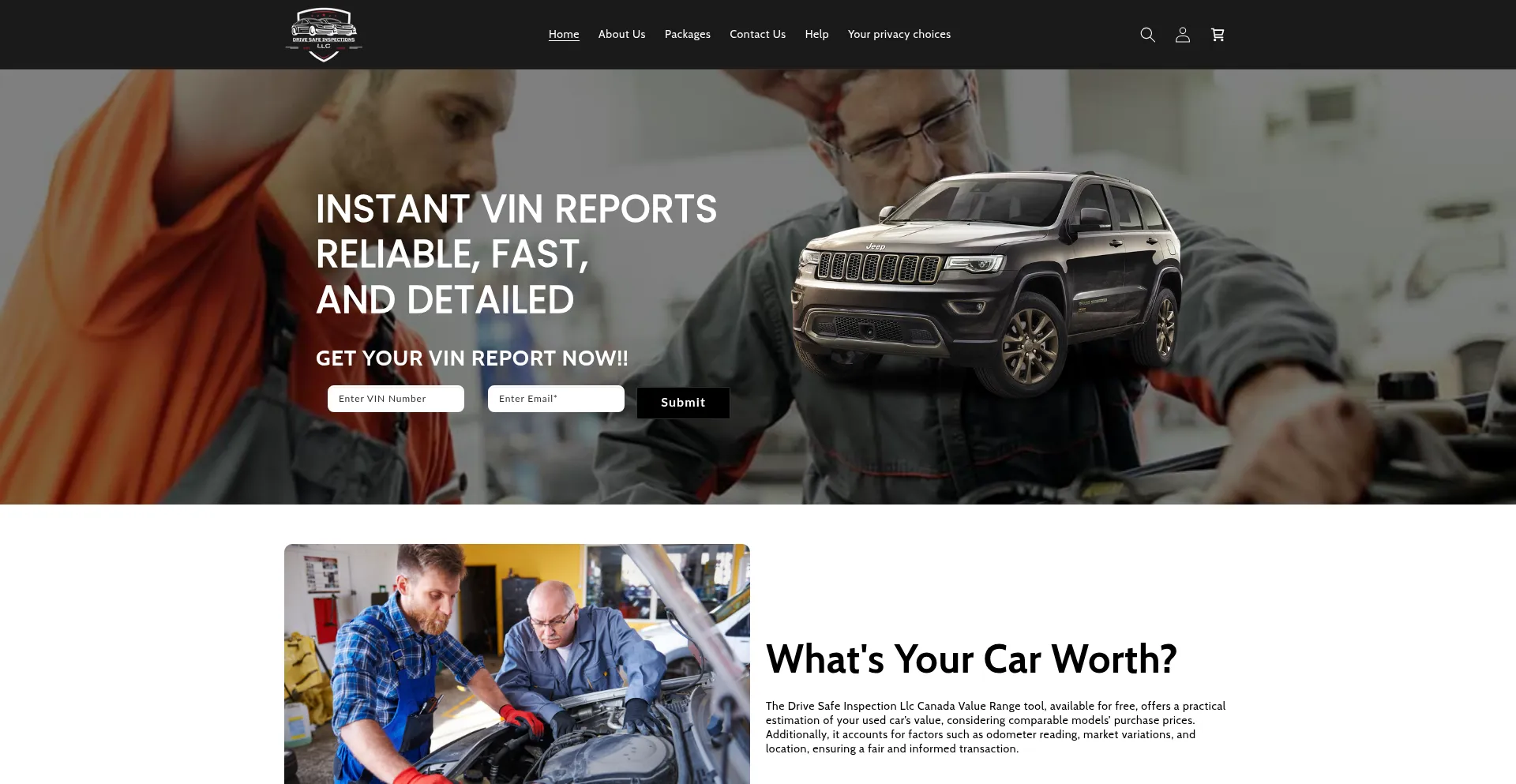 Website screenshot of Drivesafeinspections.com