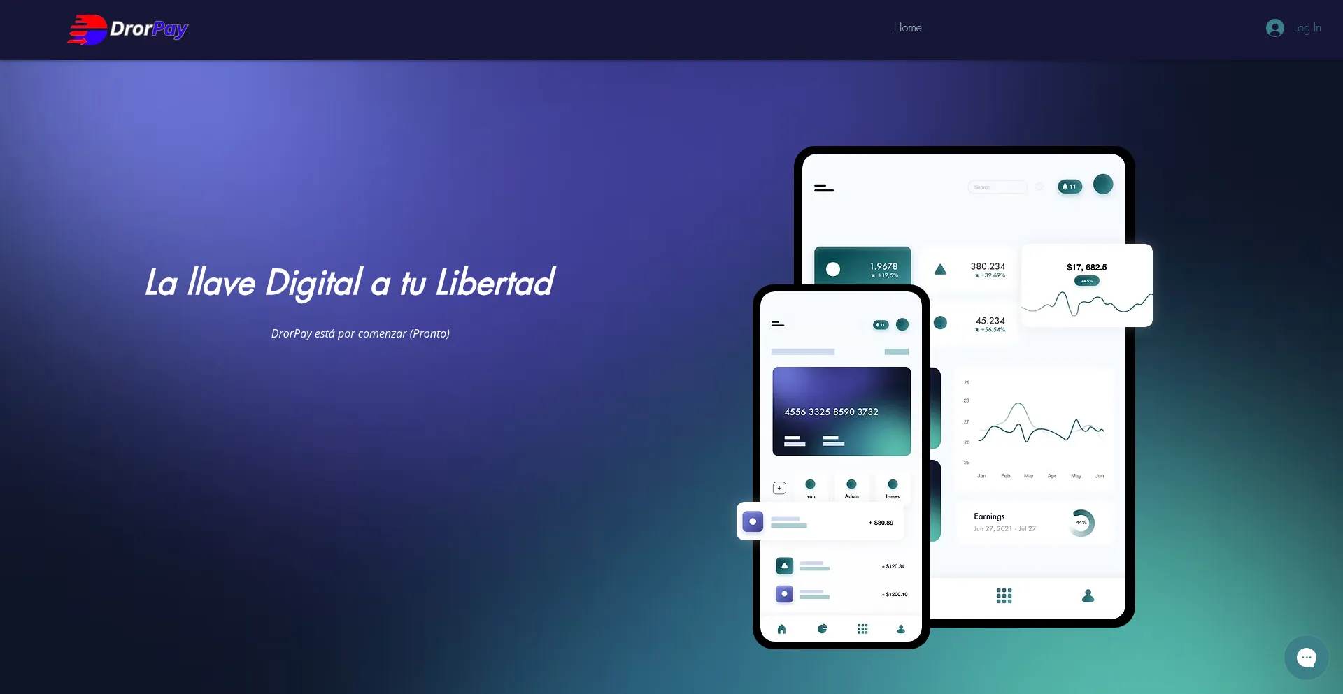 Website screenshot of Drorpay.org