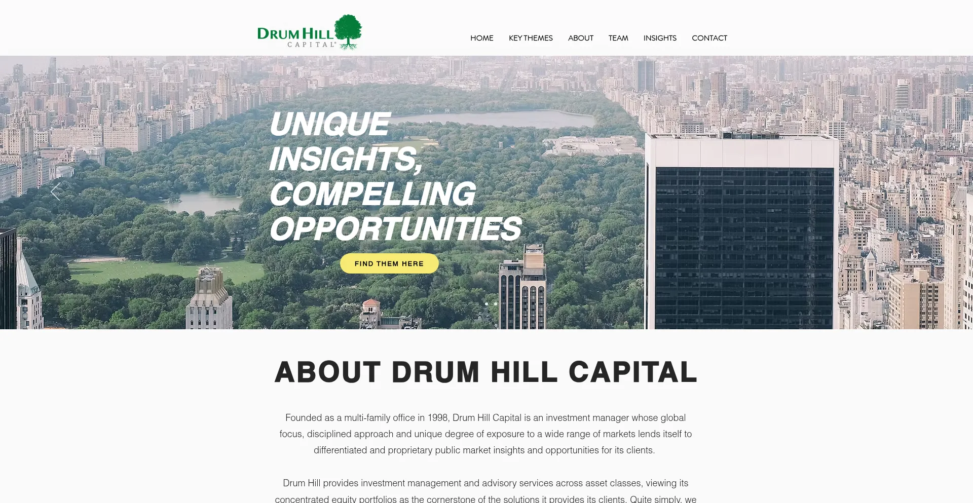 Website screenshot of Drumhill.com
