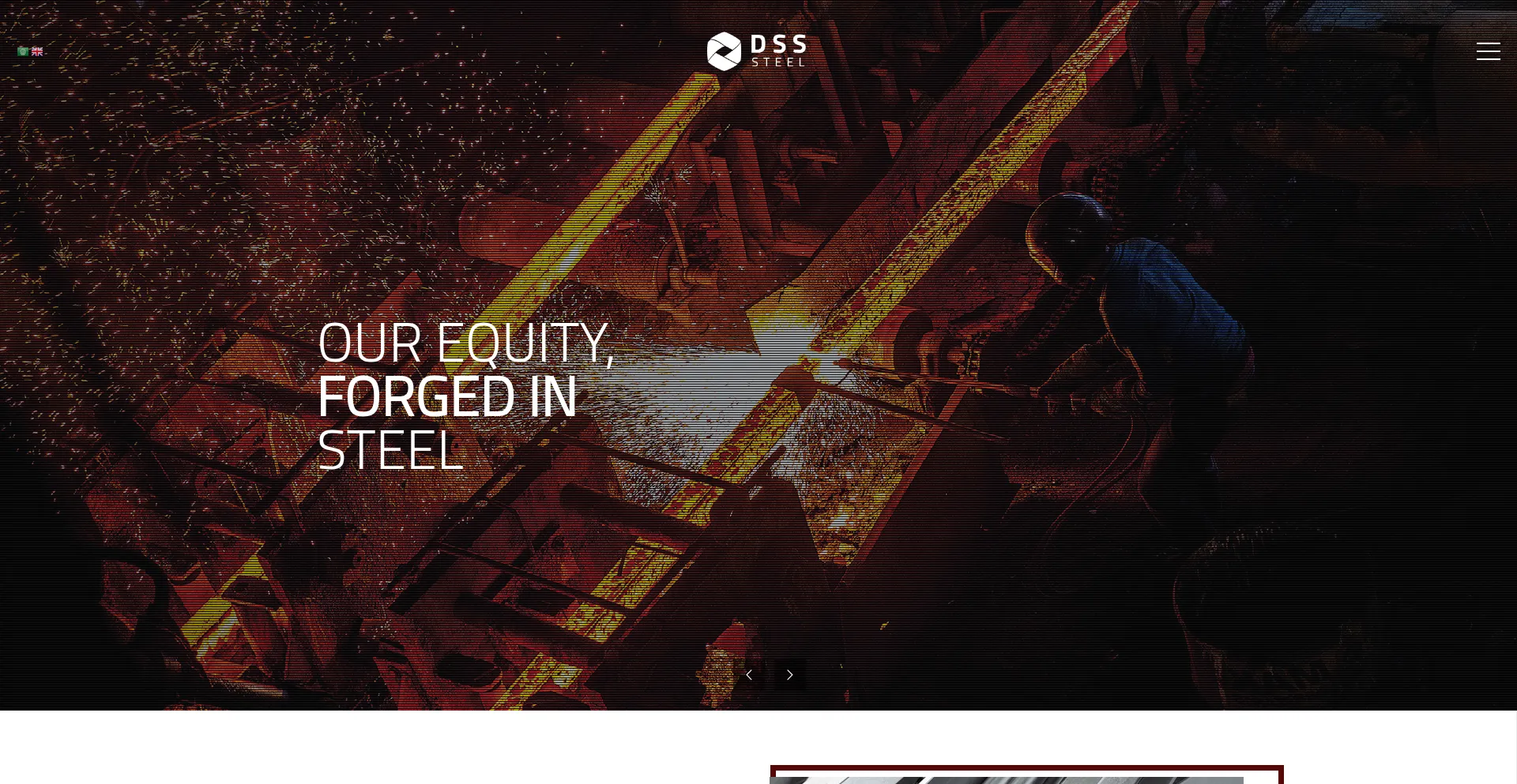 Website screenshot of Dsssteel.com