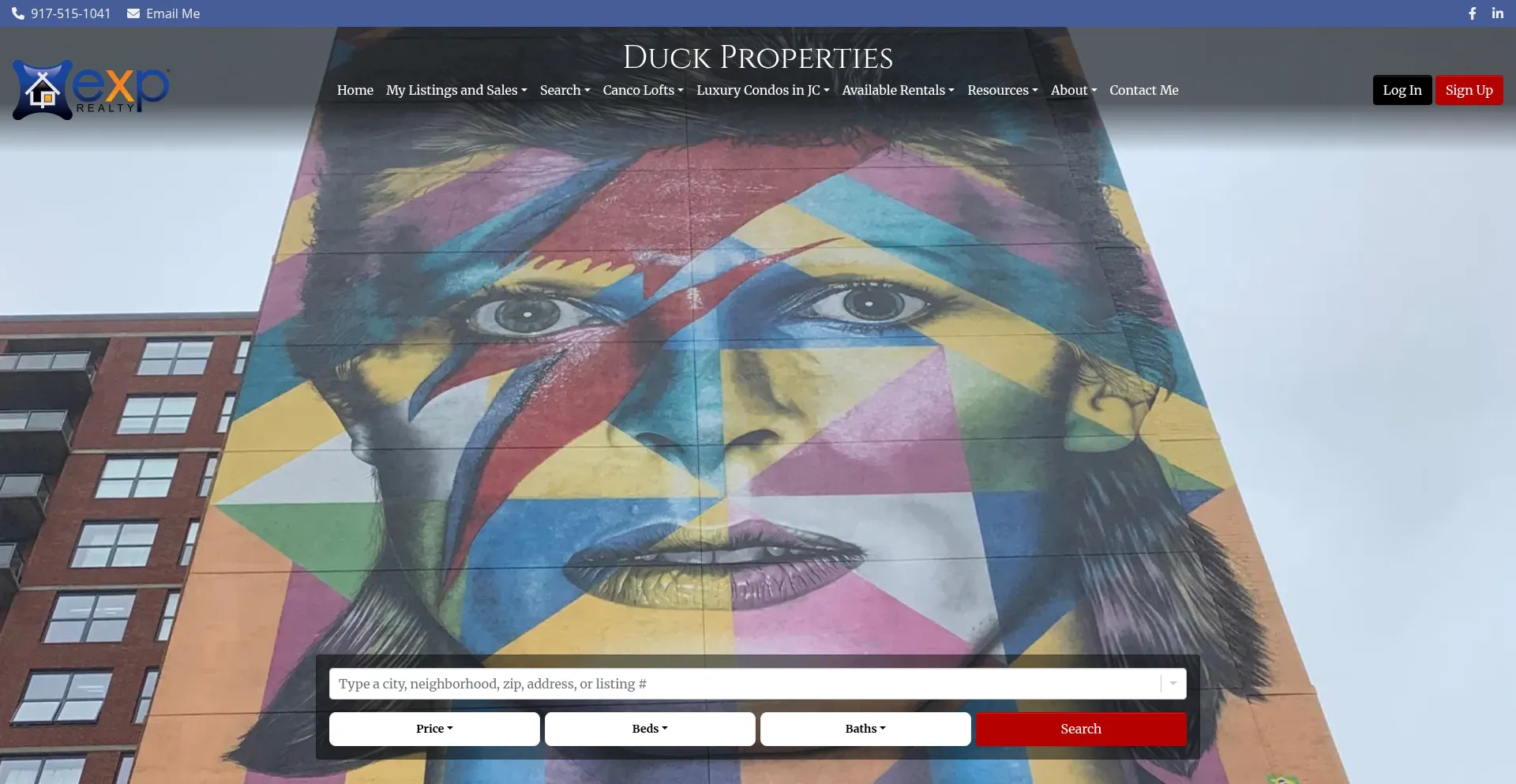 Website screenshot of Duckproperties.com