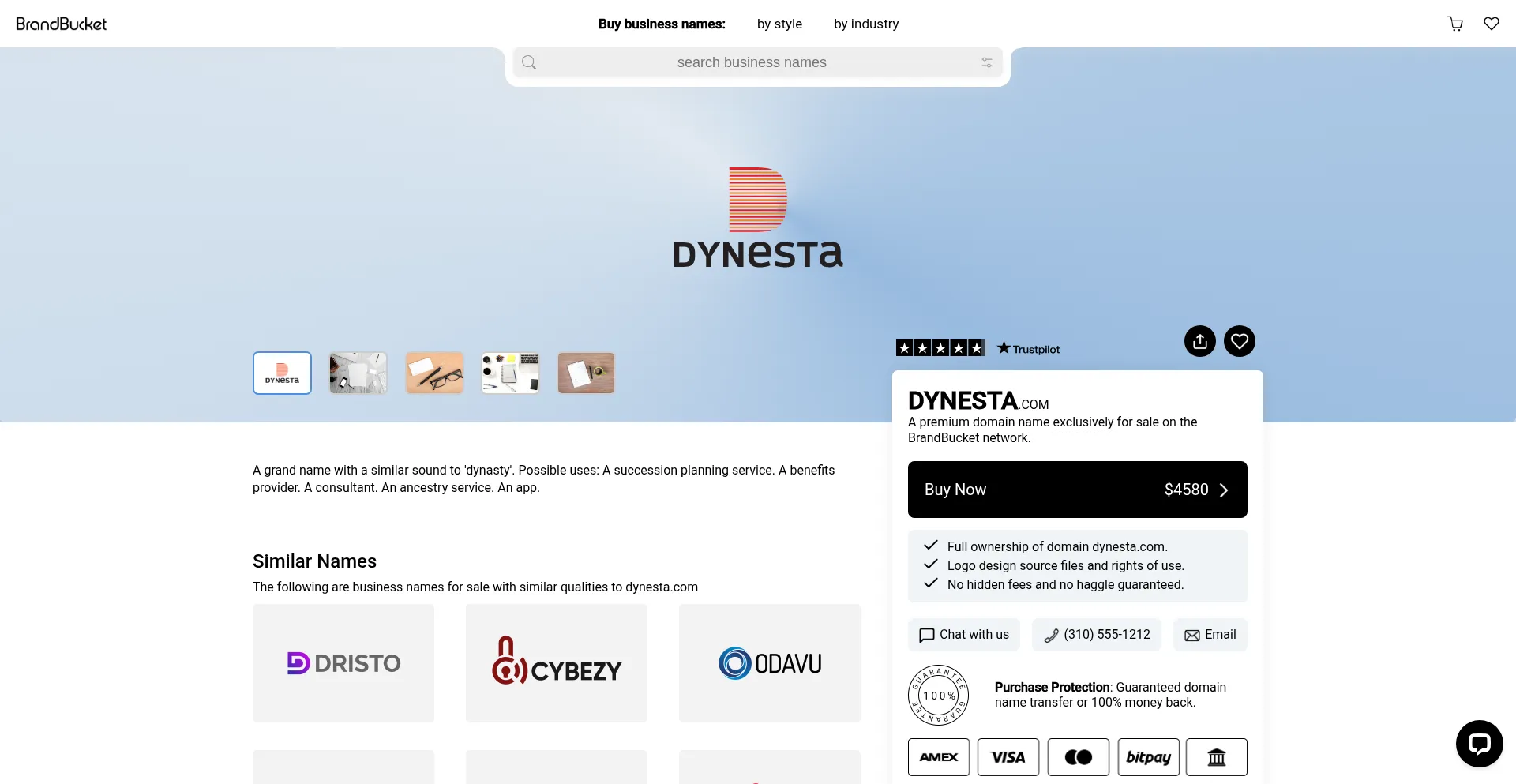 Website screenshot of Dynesta.com