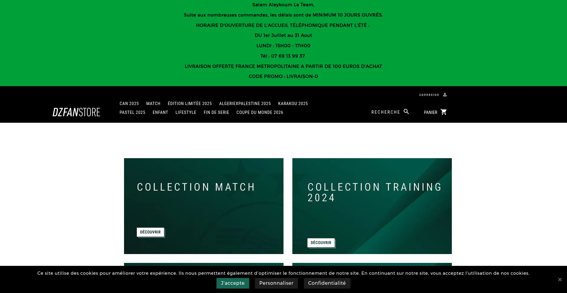 Website screenshot of Dzfanstore.com