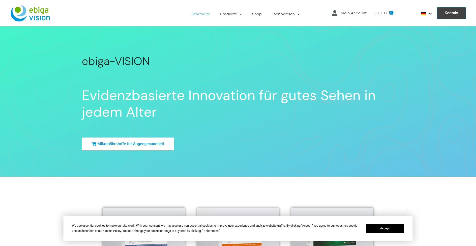 Website screenshot of Ebiga-vision.com