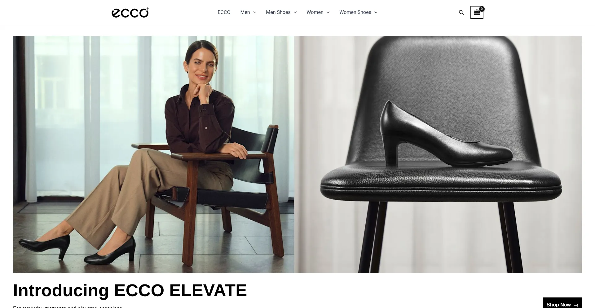 Eccoofficial.com