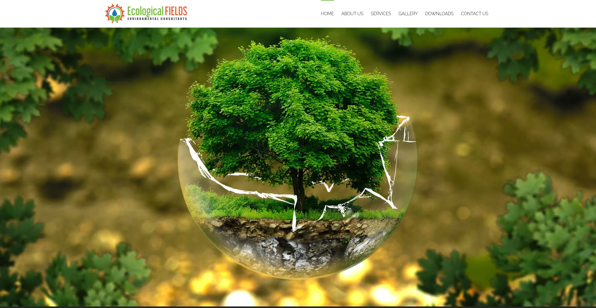 ¿És Seguro y Confiable Ecologicalfields.co.za?
