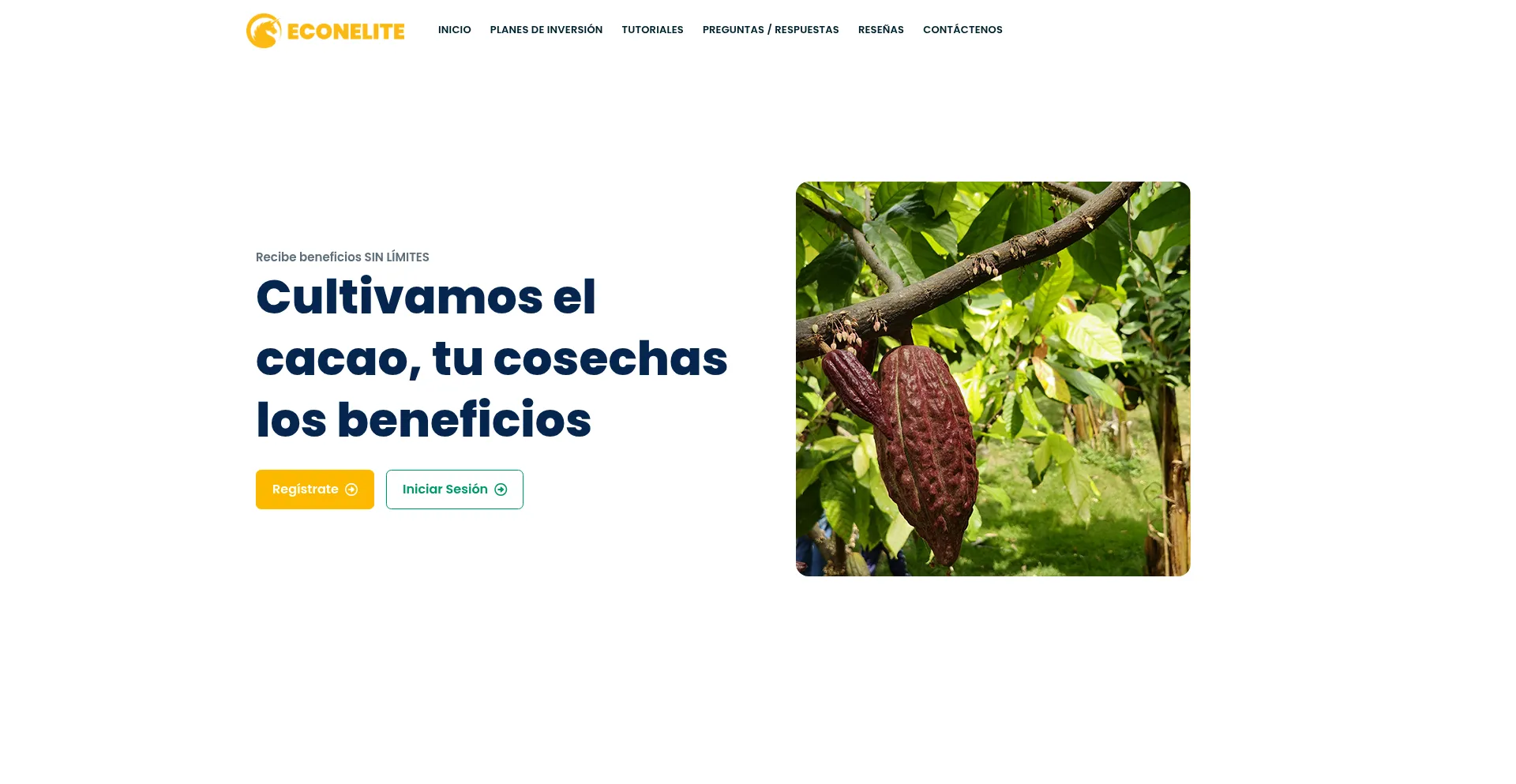 ¿És Seguro y Confiable Econelite.pro?