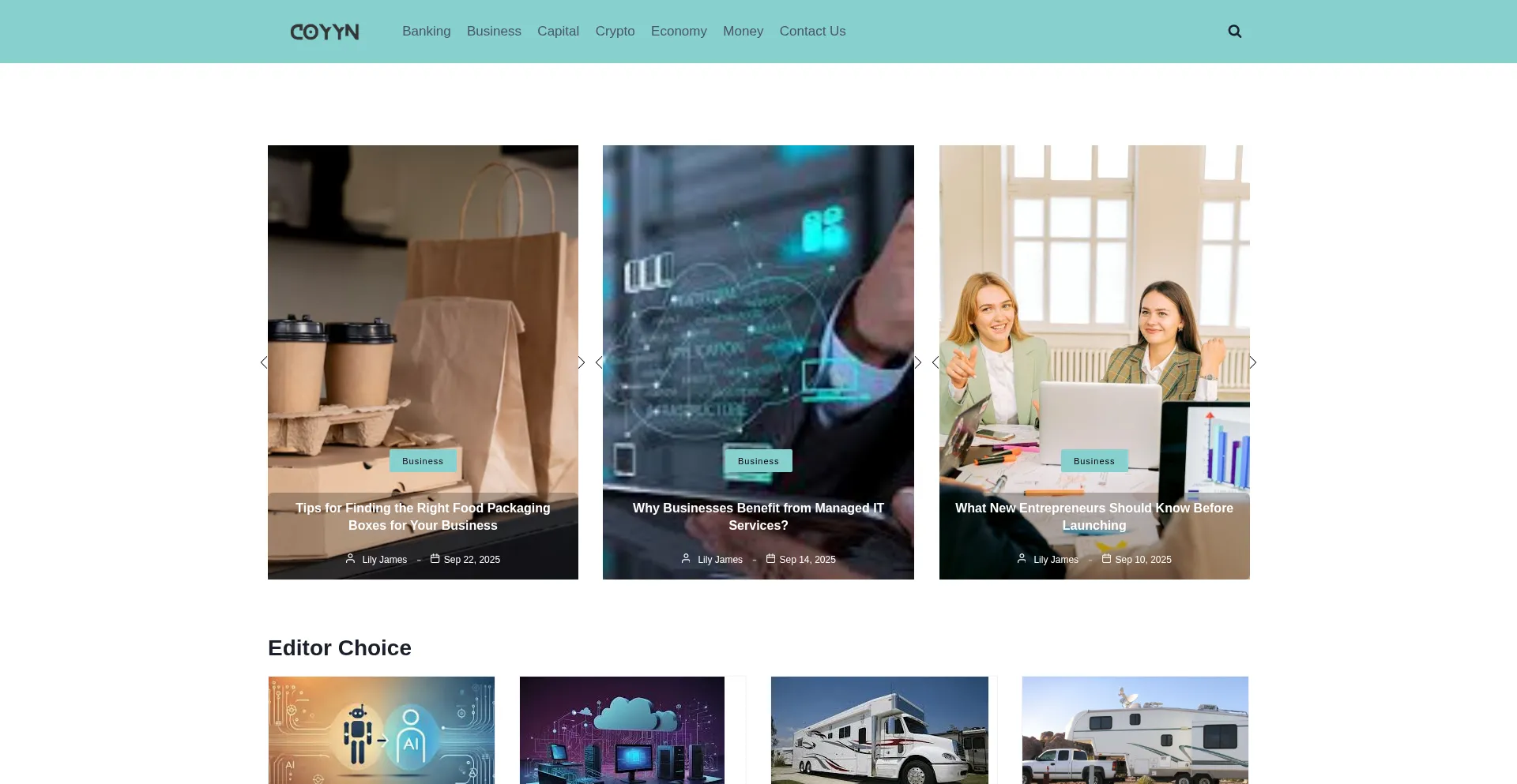 Ecoyyn.com Screenshot