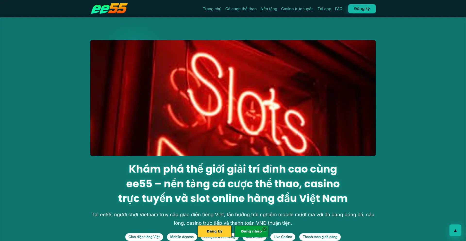 Ee55.xyz