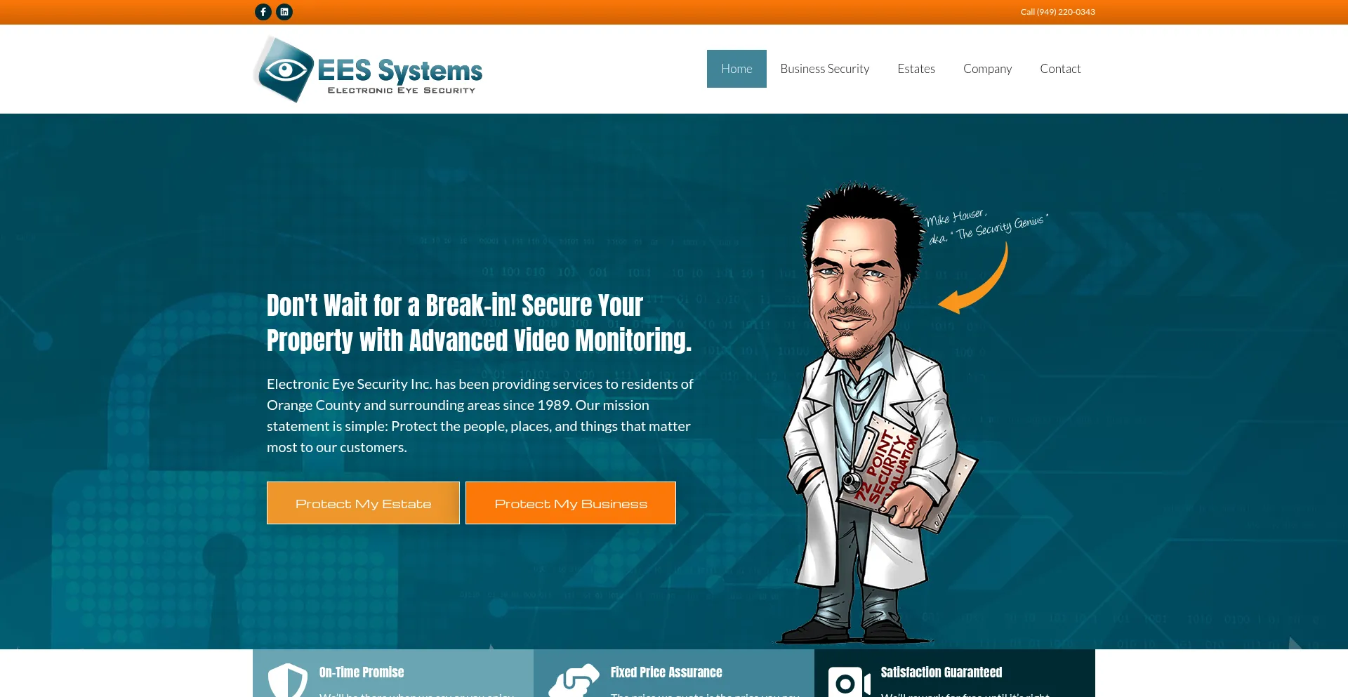 Website screenshot of Eesystems.com