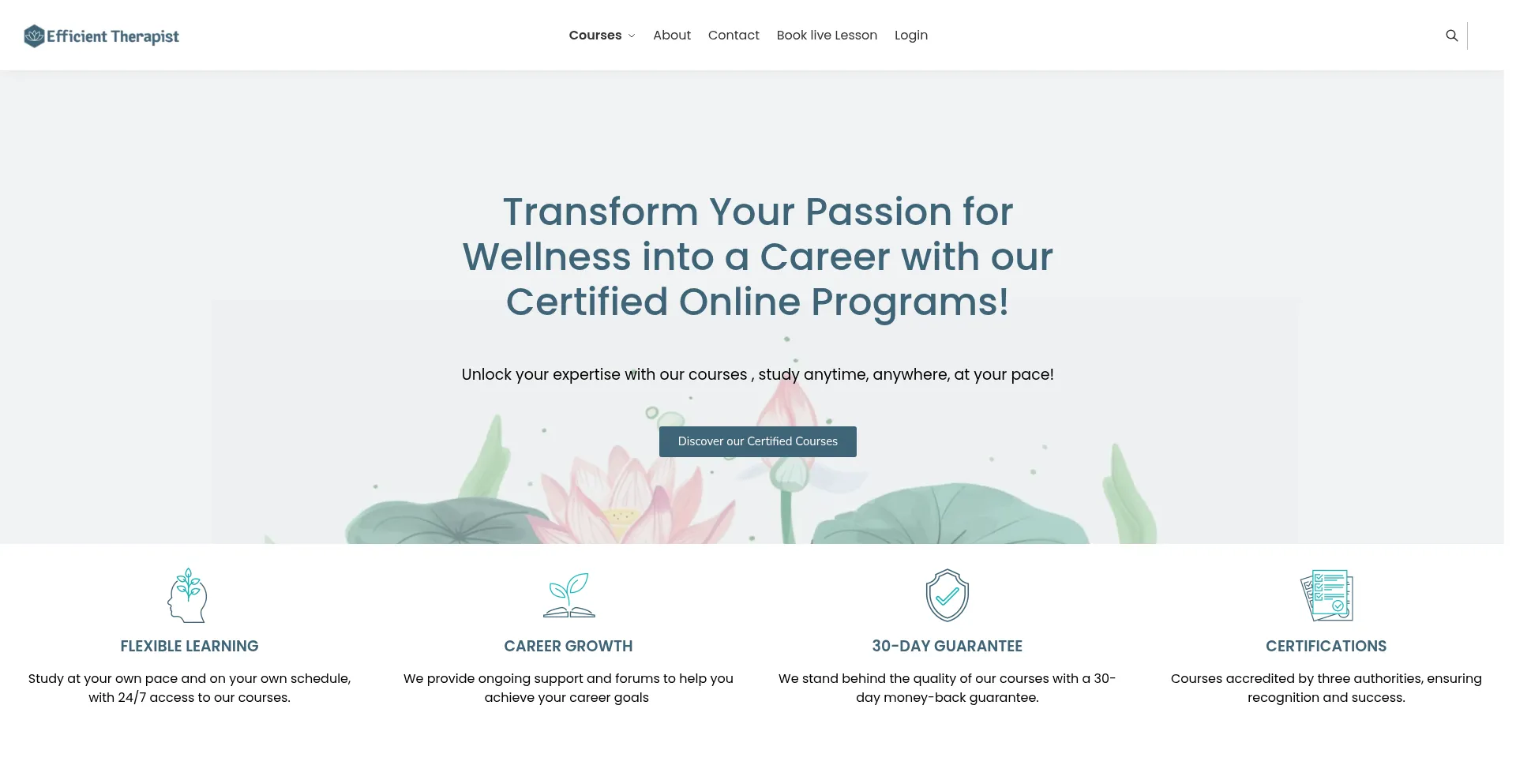 Website screenshot of Efficienttherapist.com